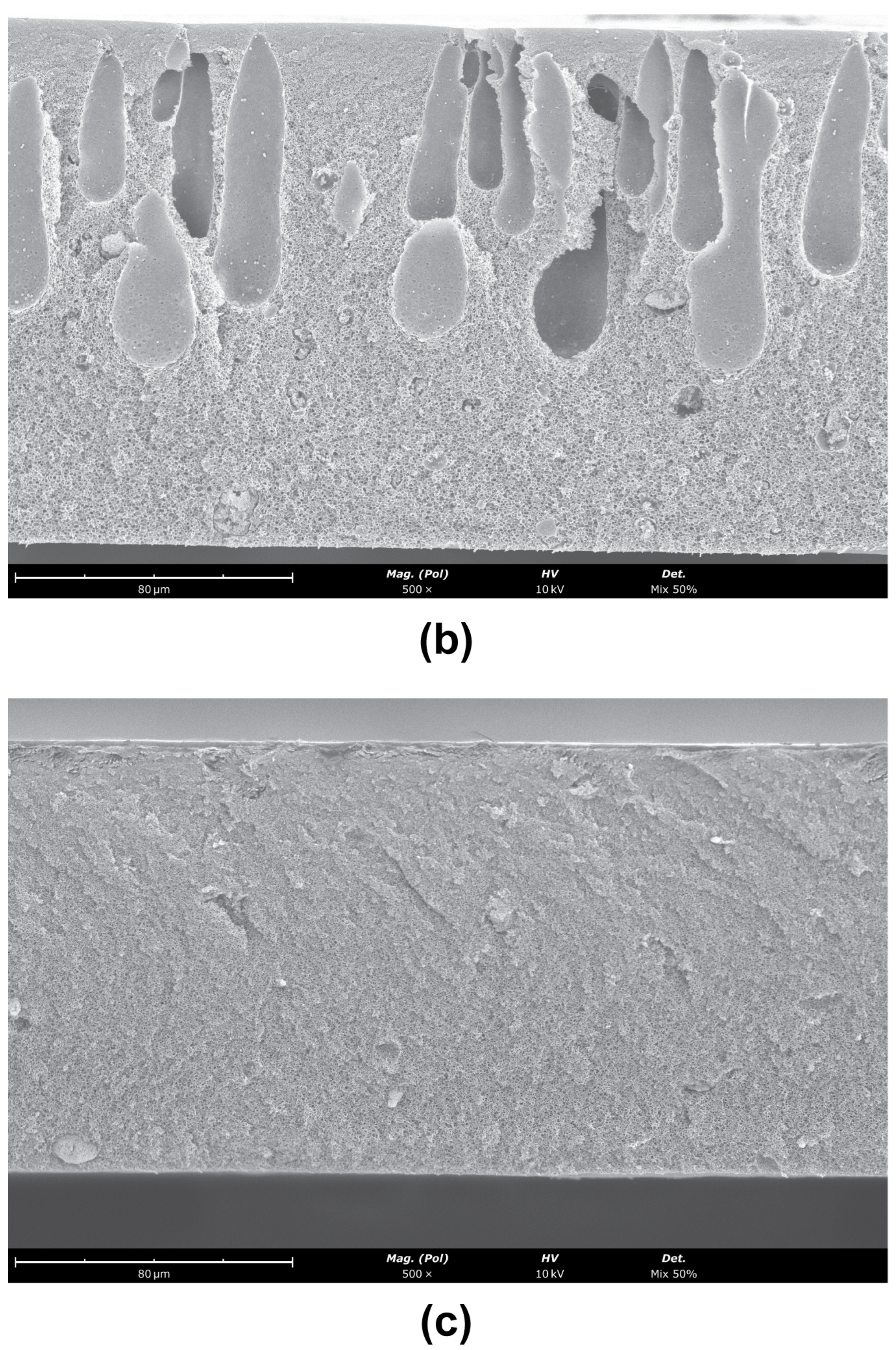 Membranes 12 00559 g007b 550