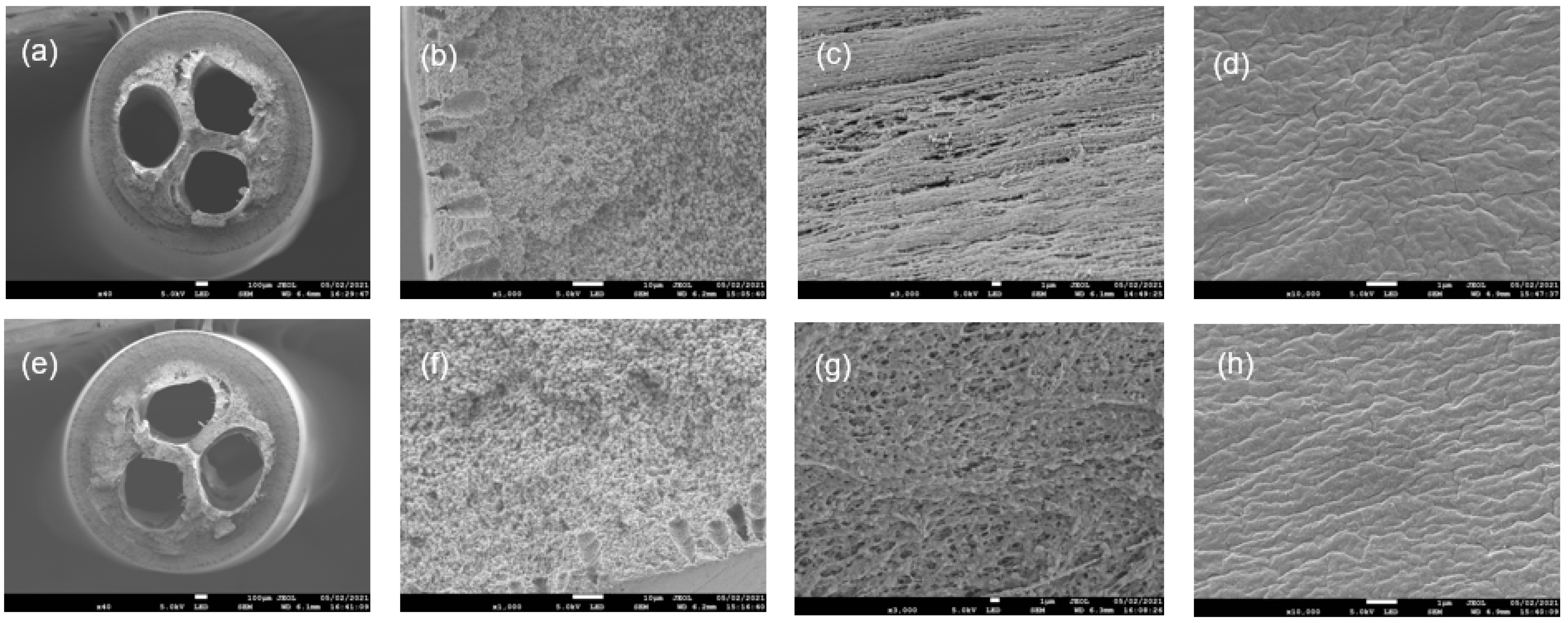 Membranes 12 00573 g005 550