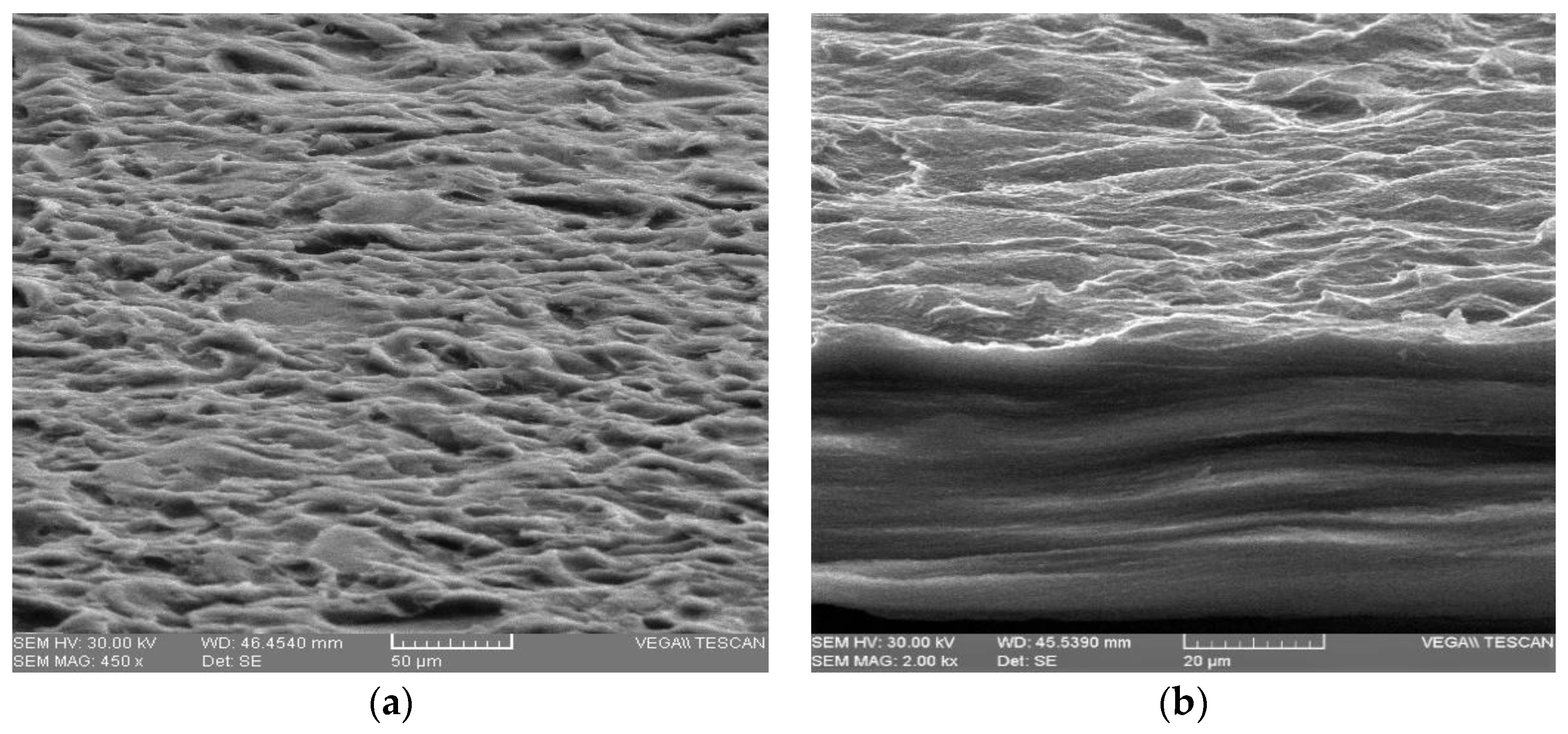 Membranes 12 00576 g005a