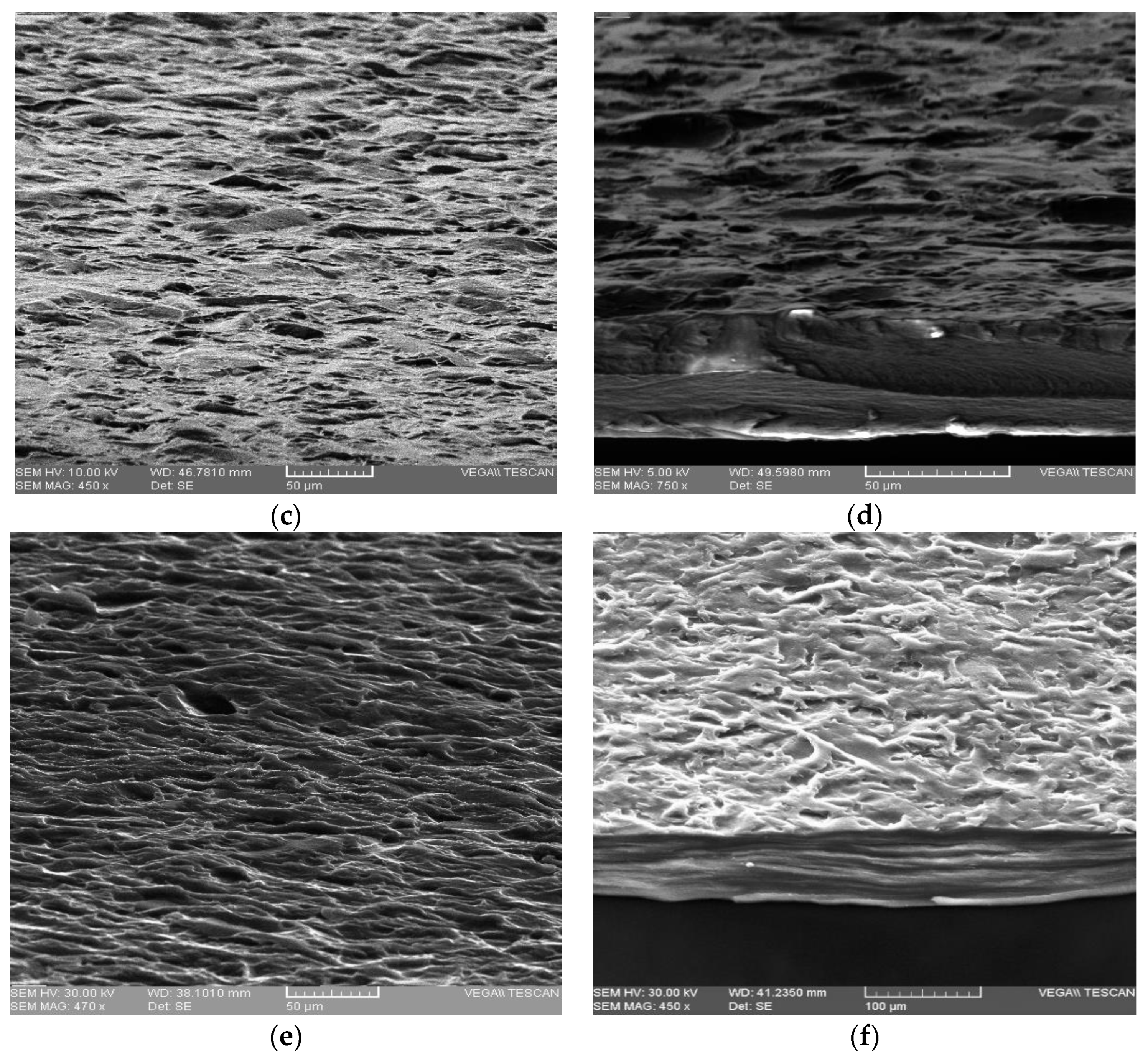 Membranes 12 00576 g005b