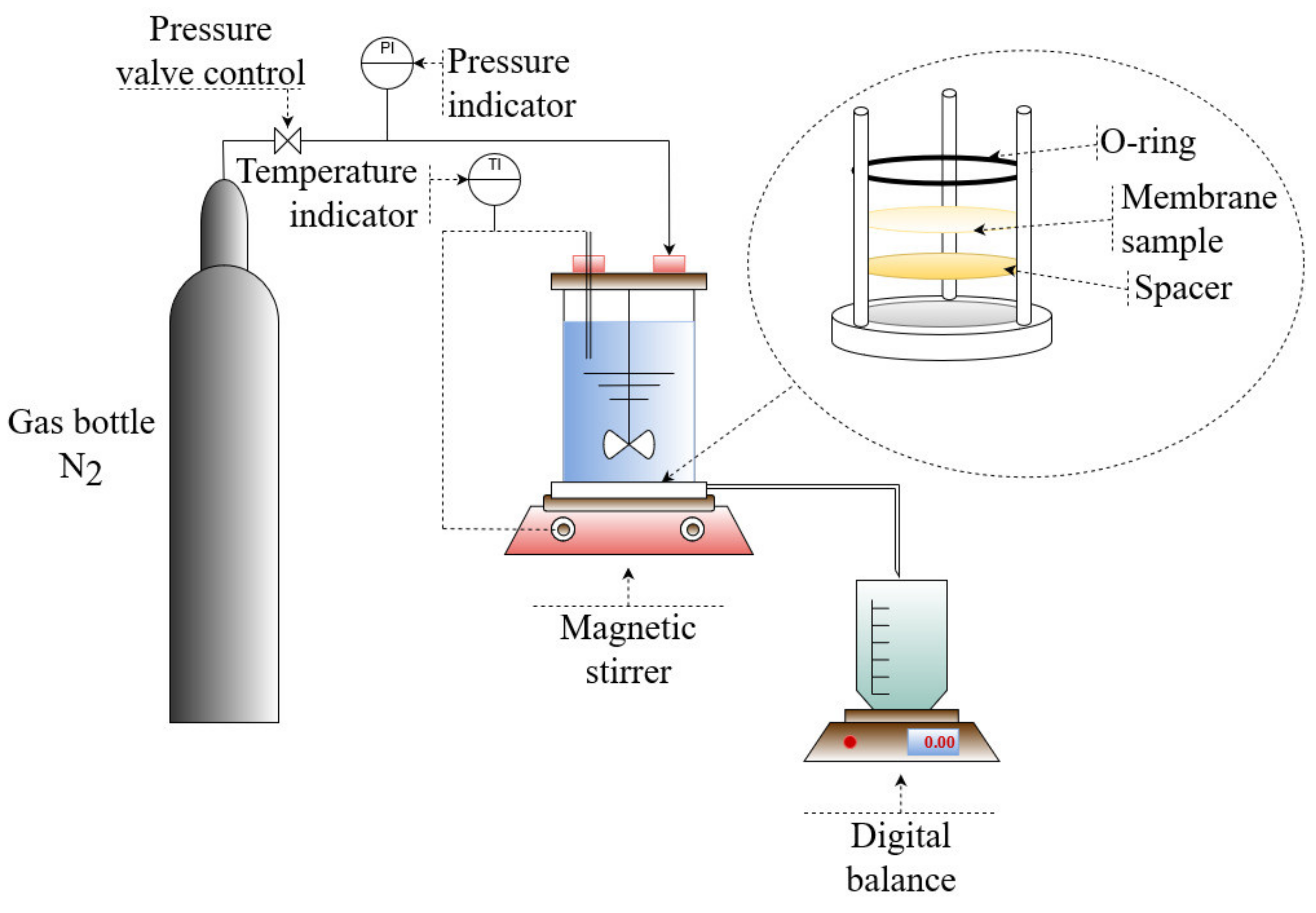 Membranes 12 00581 g002