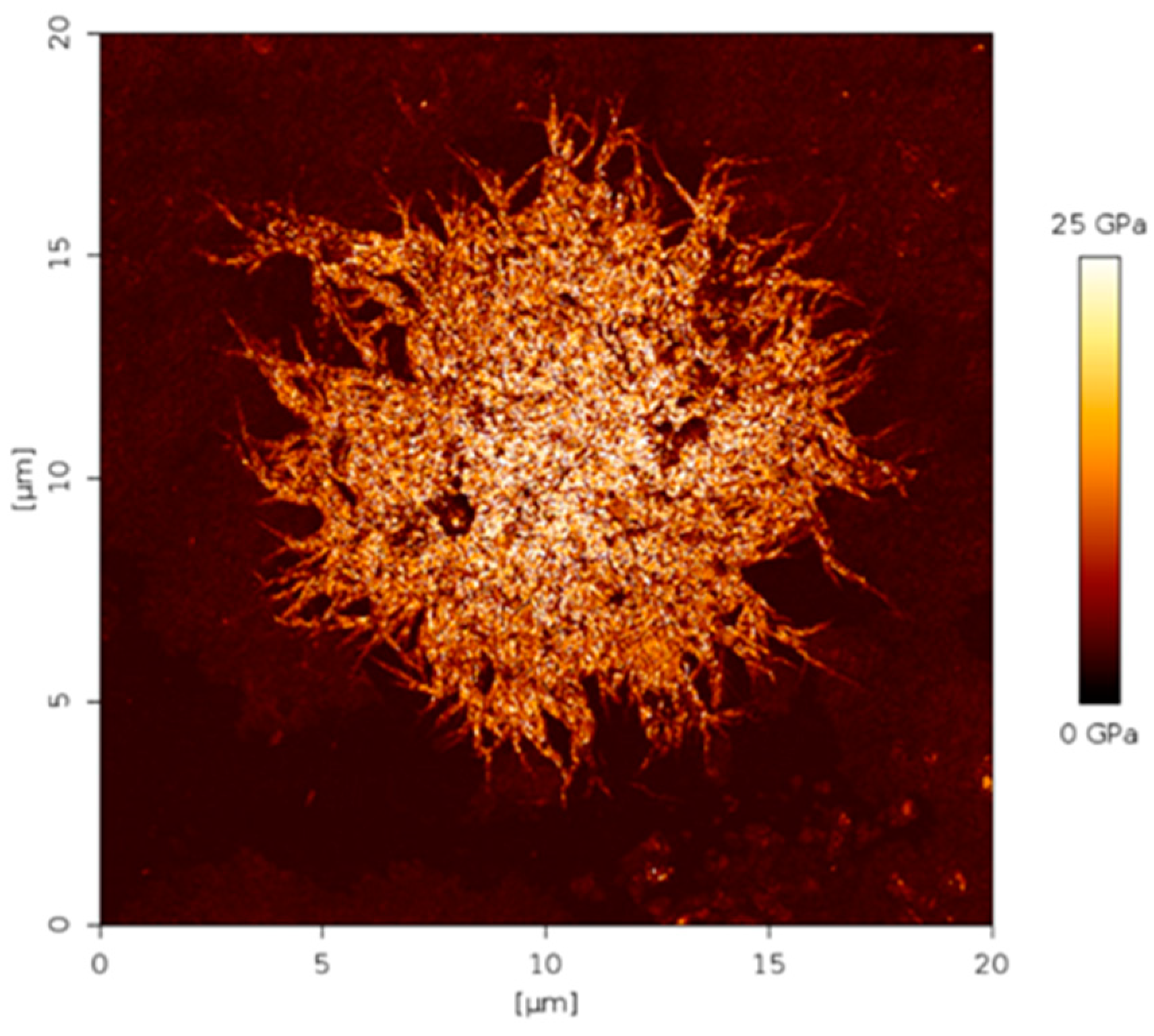 Membranes 12 00584 g005 550