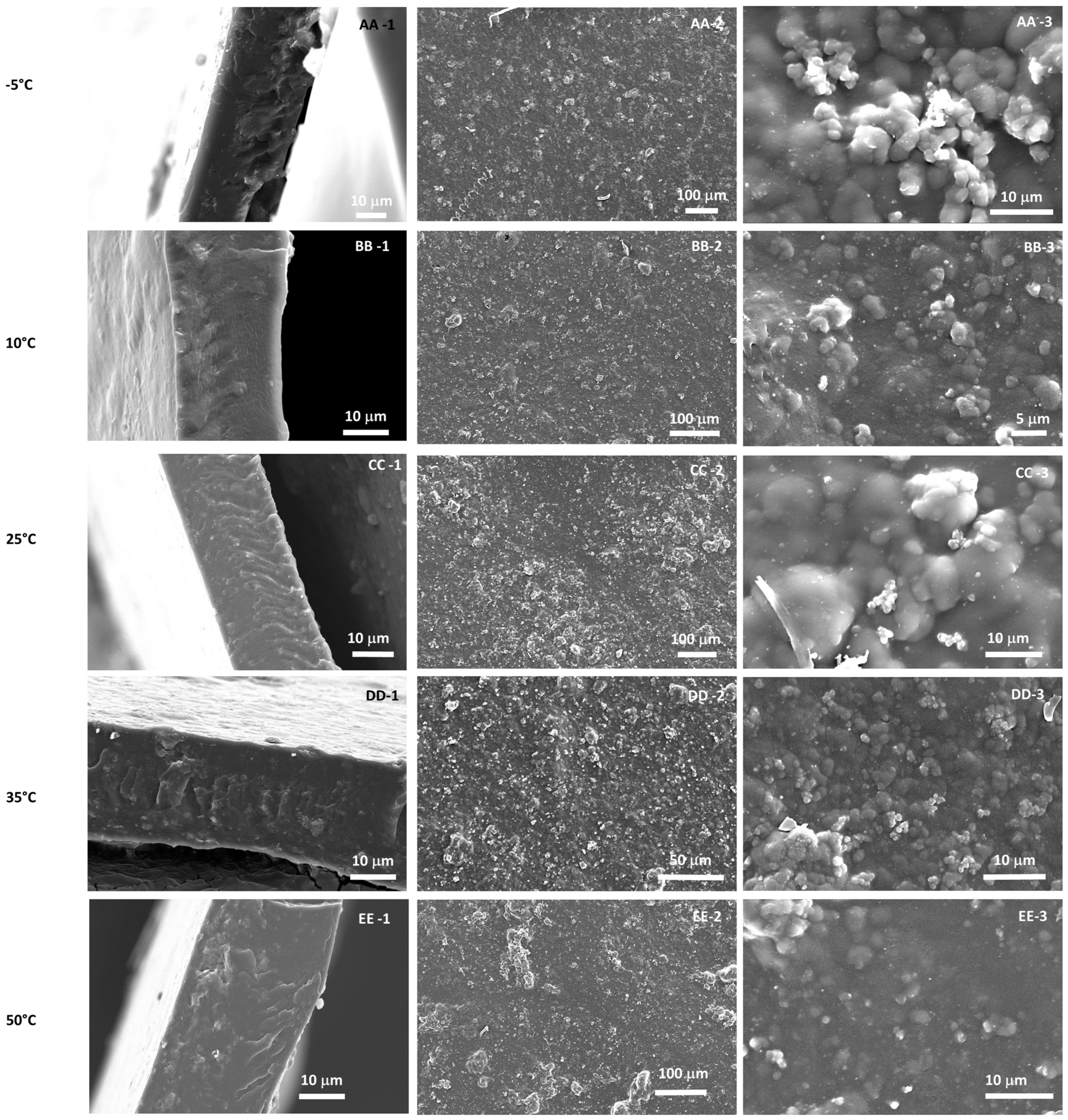 Membranes 12 00584 g006 550