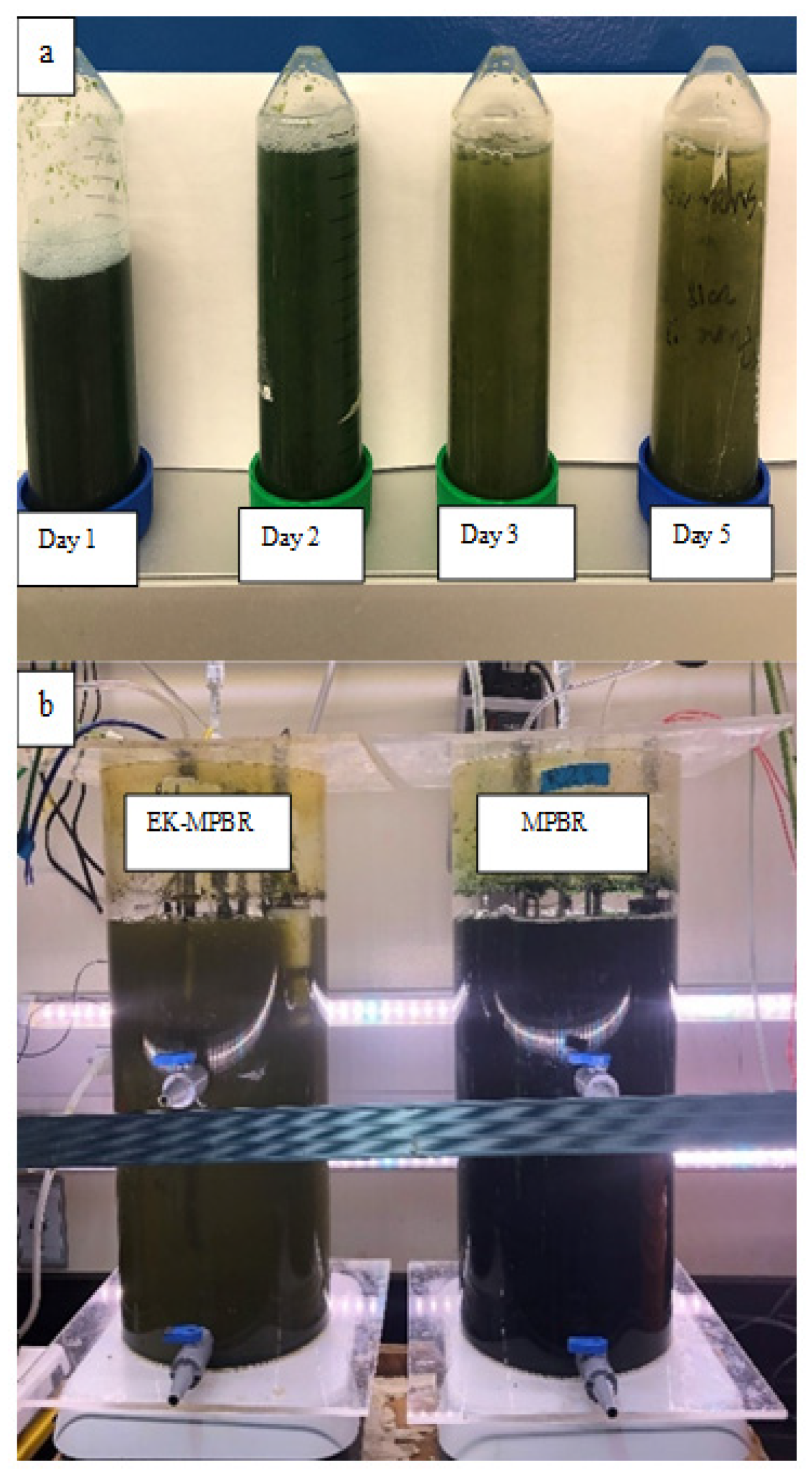 Membranes 12 00587 g006 550