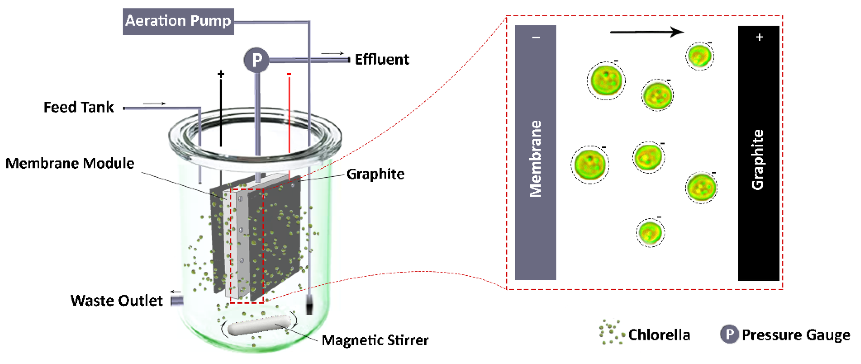 Membranes 12 00587 g009 550
