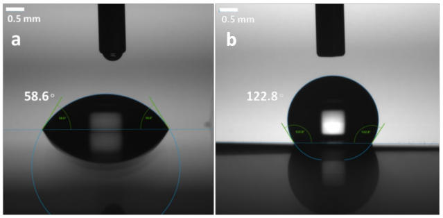 Membranes 12 00592 g008