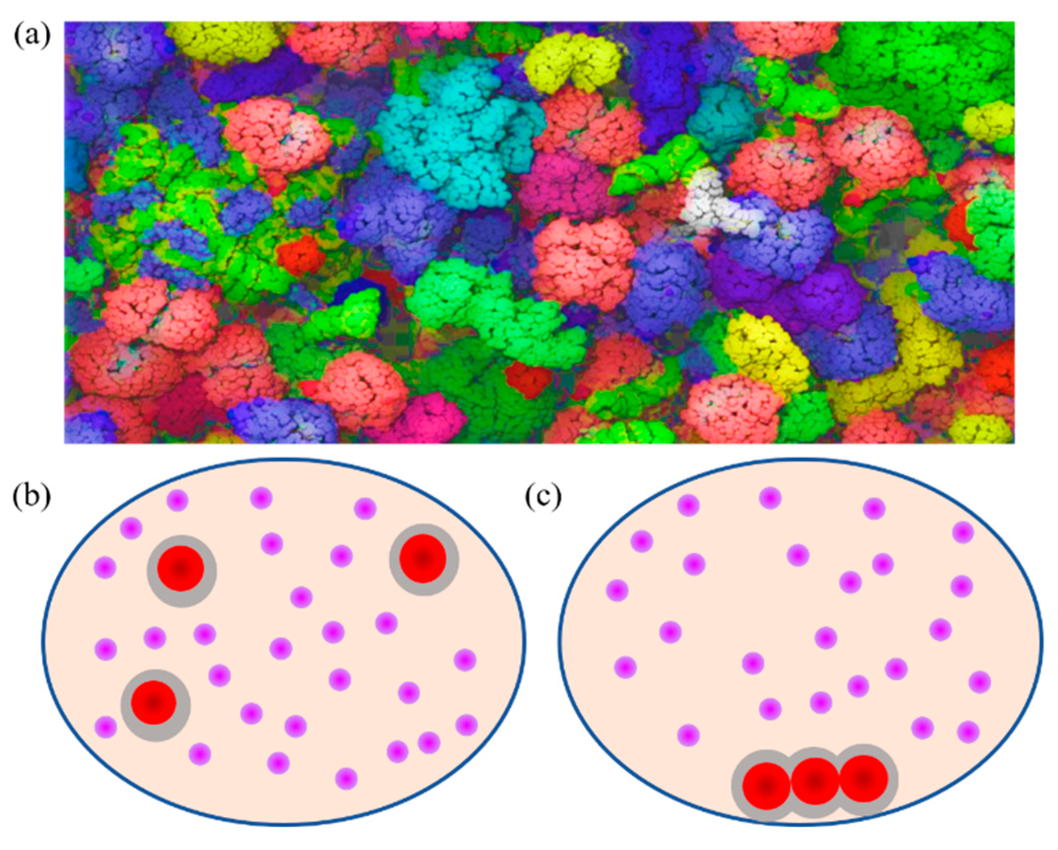 Membranes 12 00593 g001
