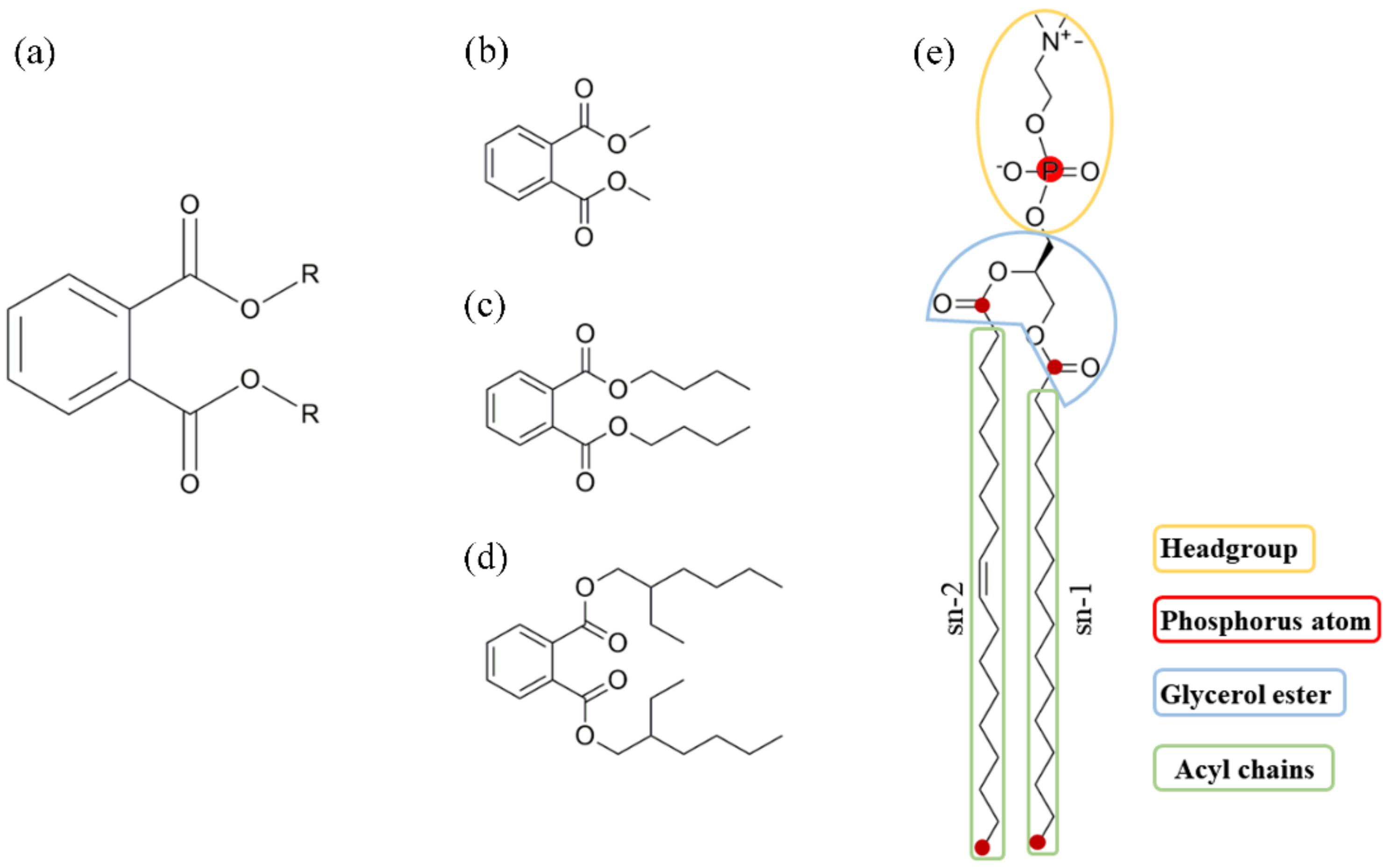Membranes 12 00596 g001 550