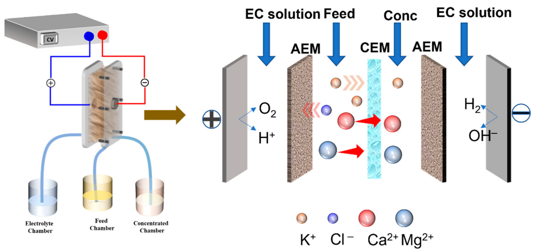 Membranes | Free Full-Text | A Comprehensive Analysis of Inorganic Ions and Their Selective Removal from the Reconstituted Tobacco Extract Using Electrodialysis Membranes | Free Full-Text | A Comprehensive Analysis of Inorganic Ions and Their Selective Removal from the Reconstituted Tobacco Extract Using Electrodialysis