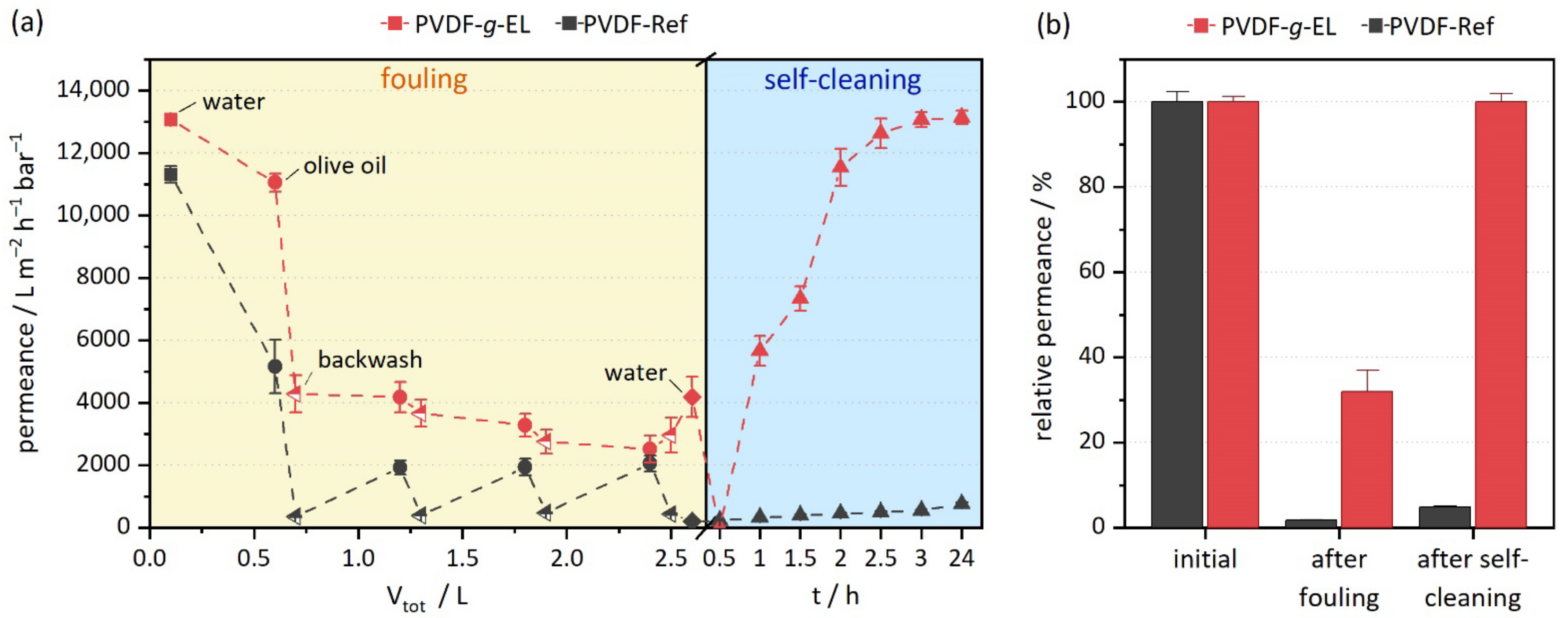 Membranes 12 00599 g003