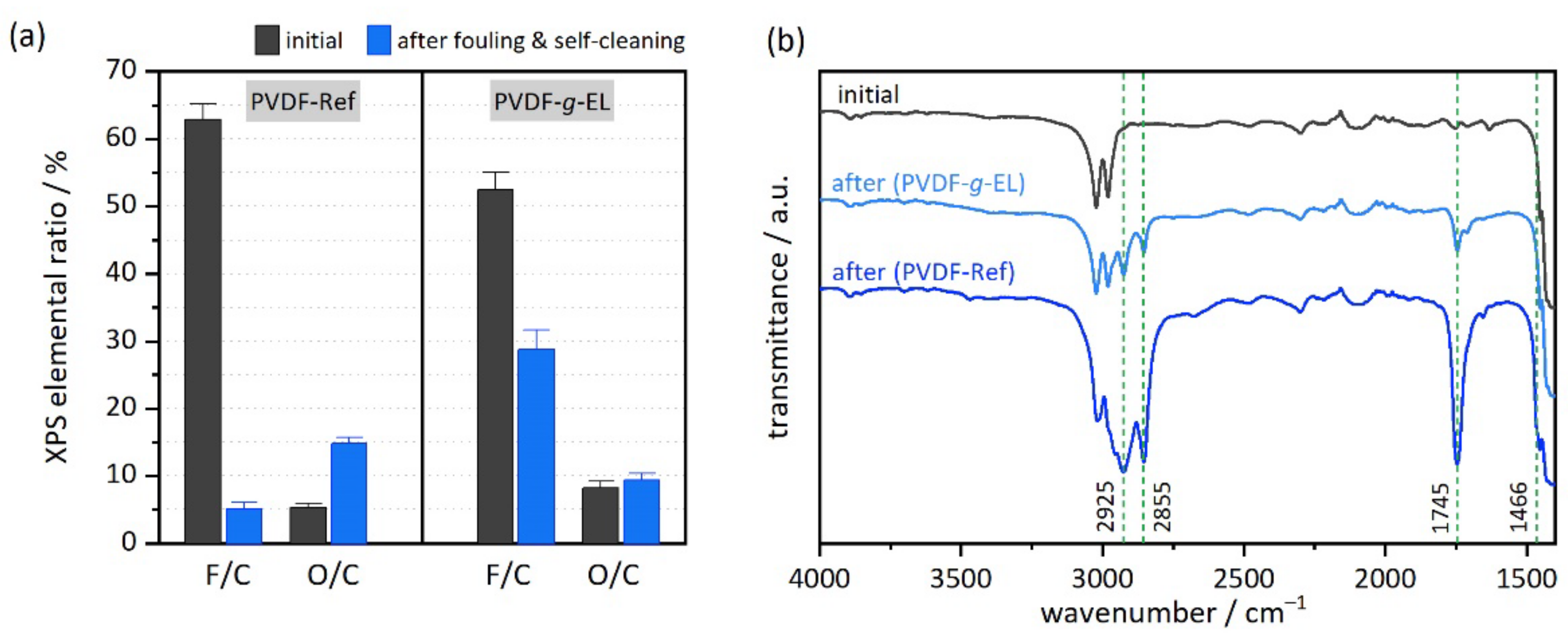 Membranes 12 00599 g005