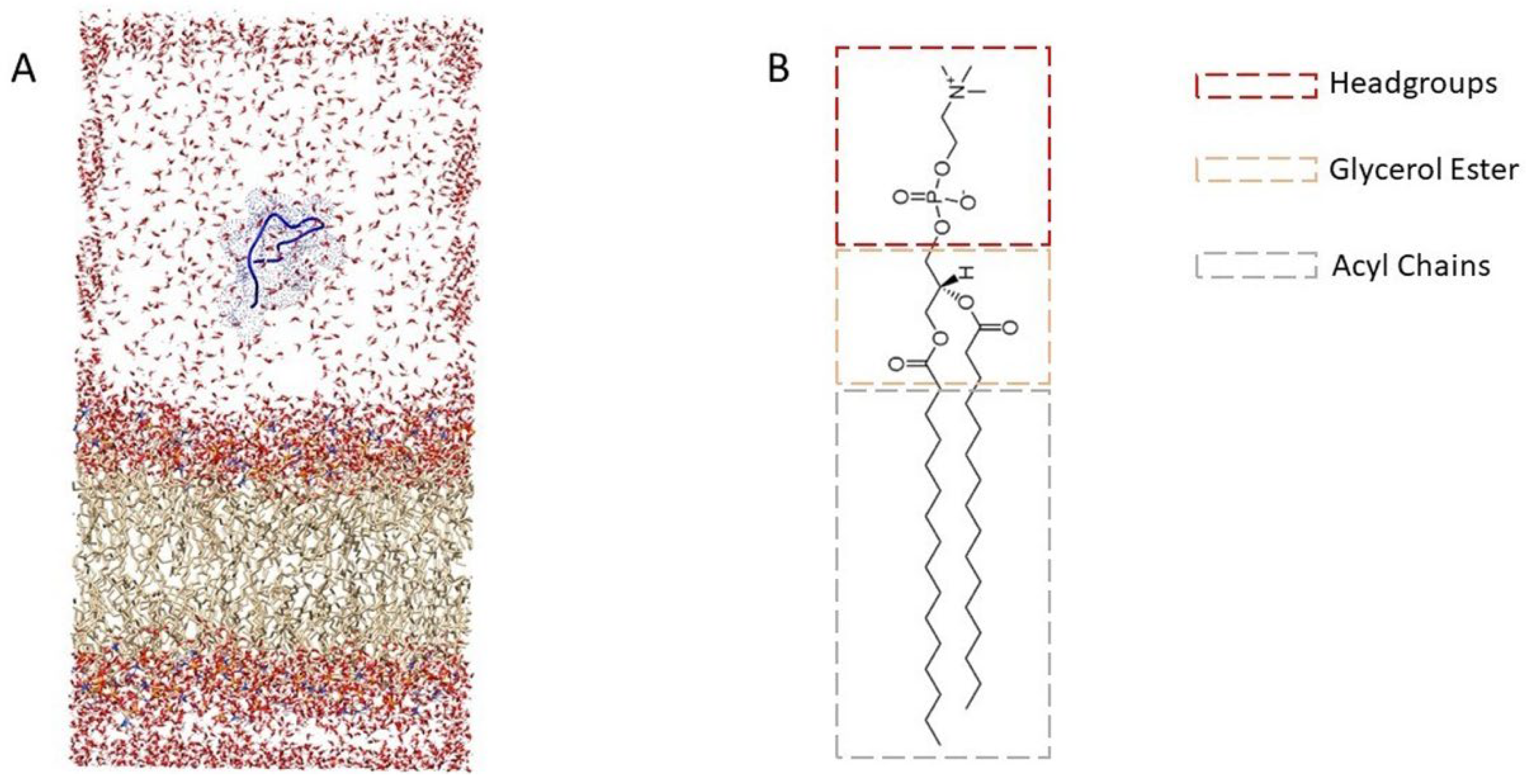 Membranes 12 00600 g002 550