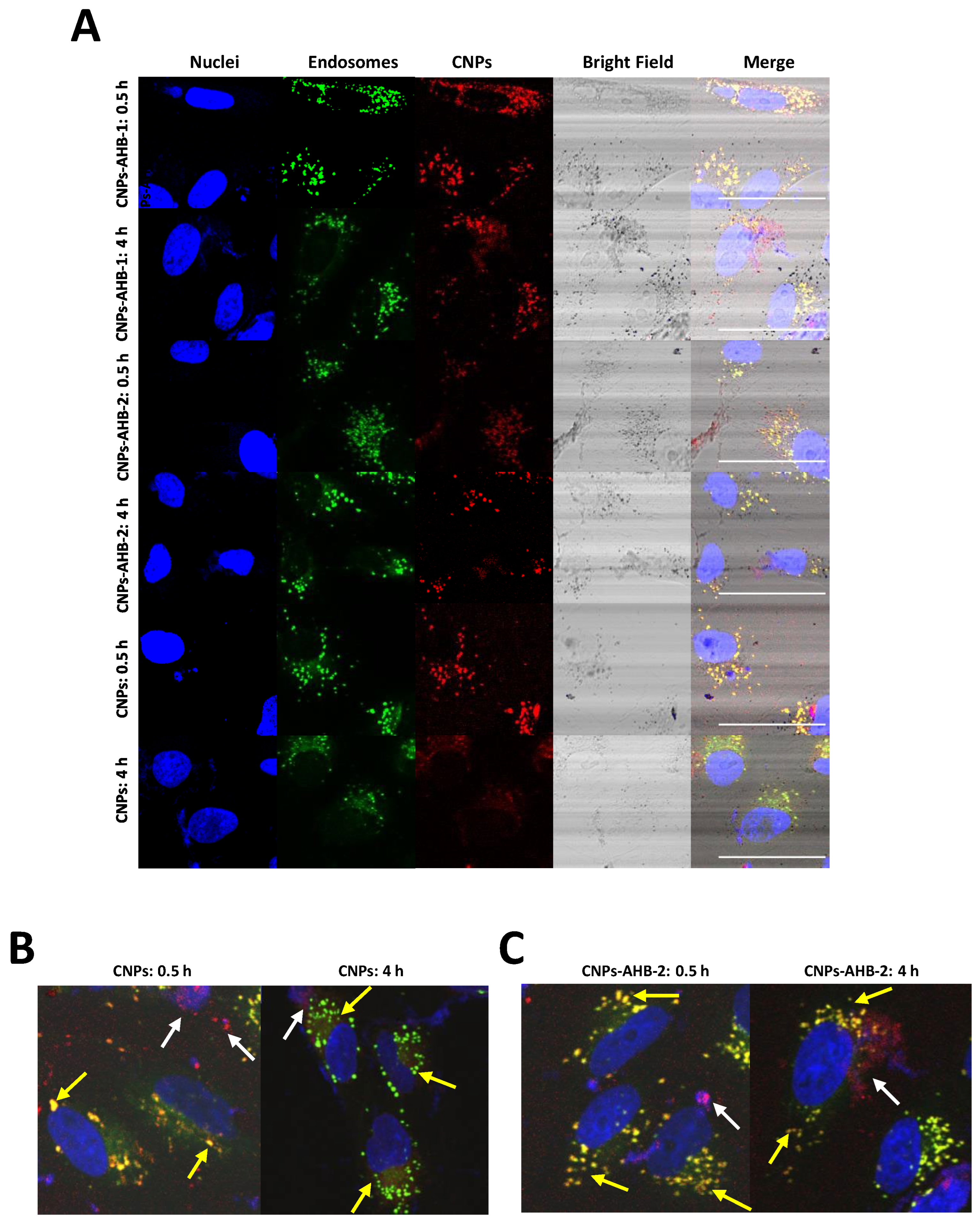 Membranes 12 00600 g012 550