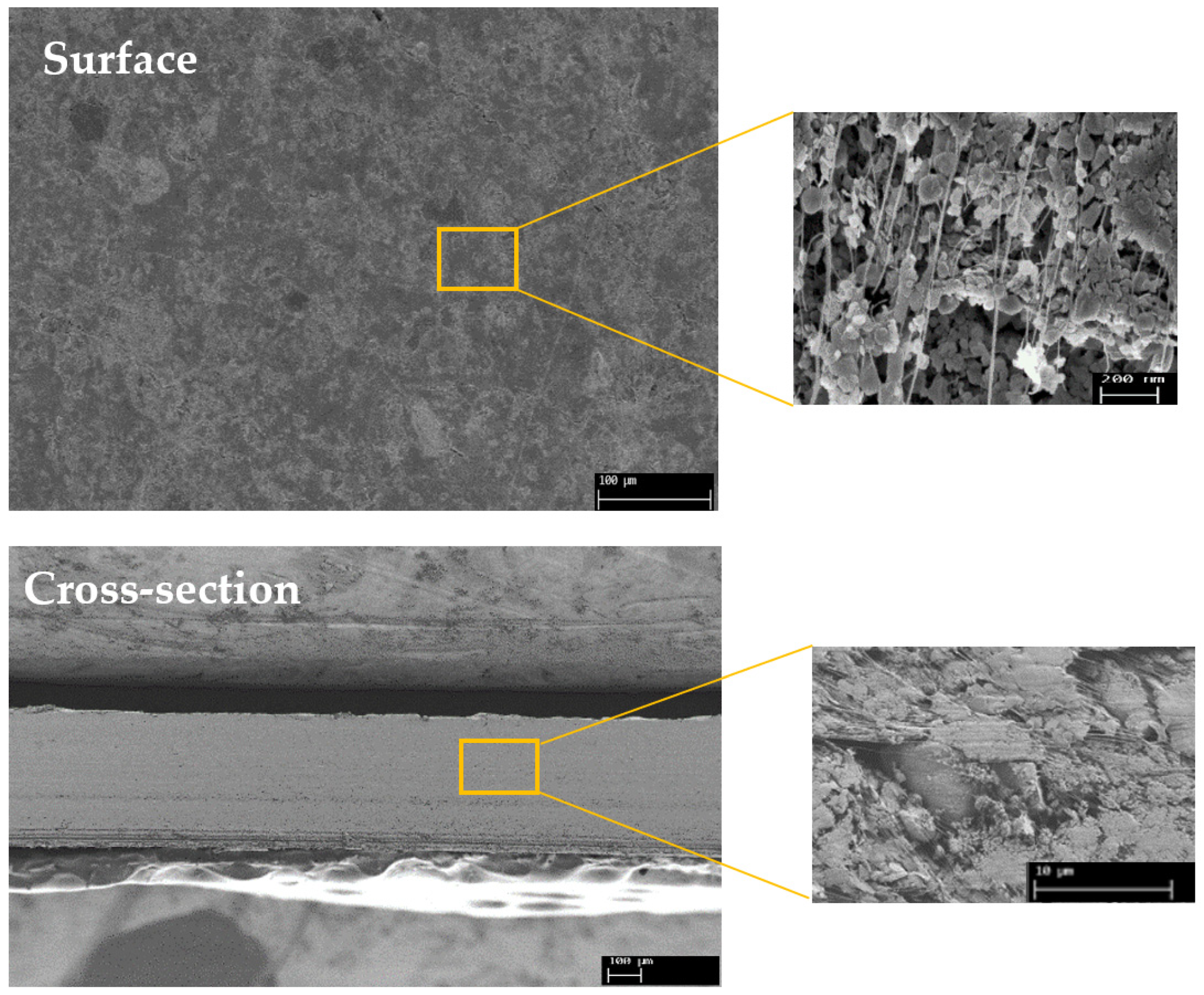 Membranes 12 00602 g005 550