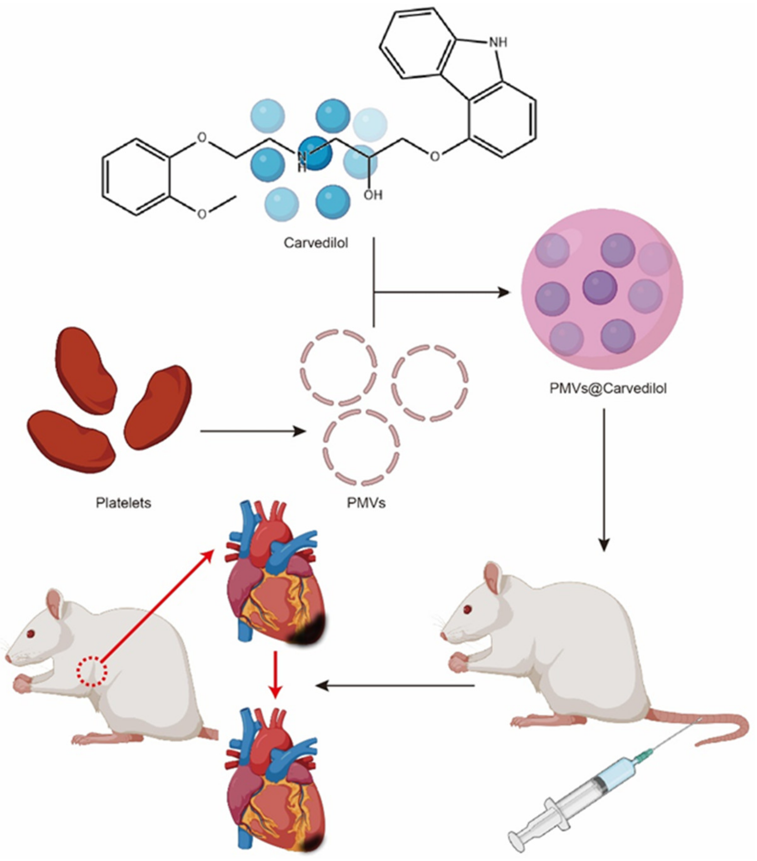 Membranes 12 00605 g001 Membranes 12 00605 g001