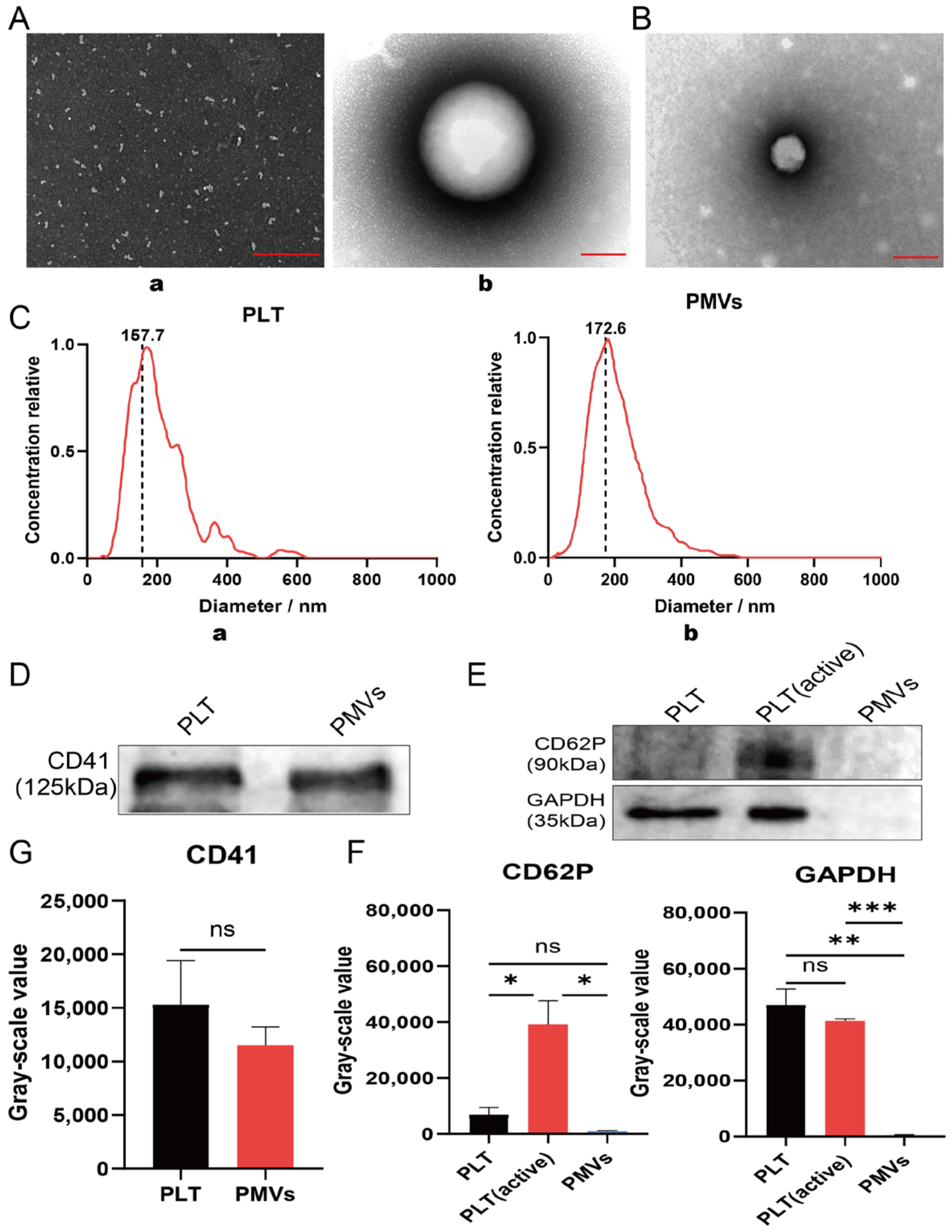 Membranes 12 00605 g002 Membranes 12 00605 g002