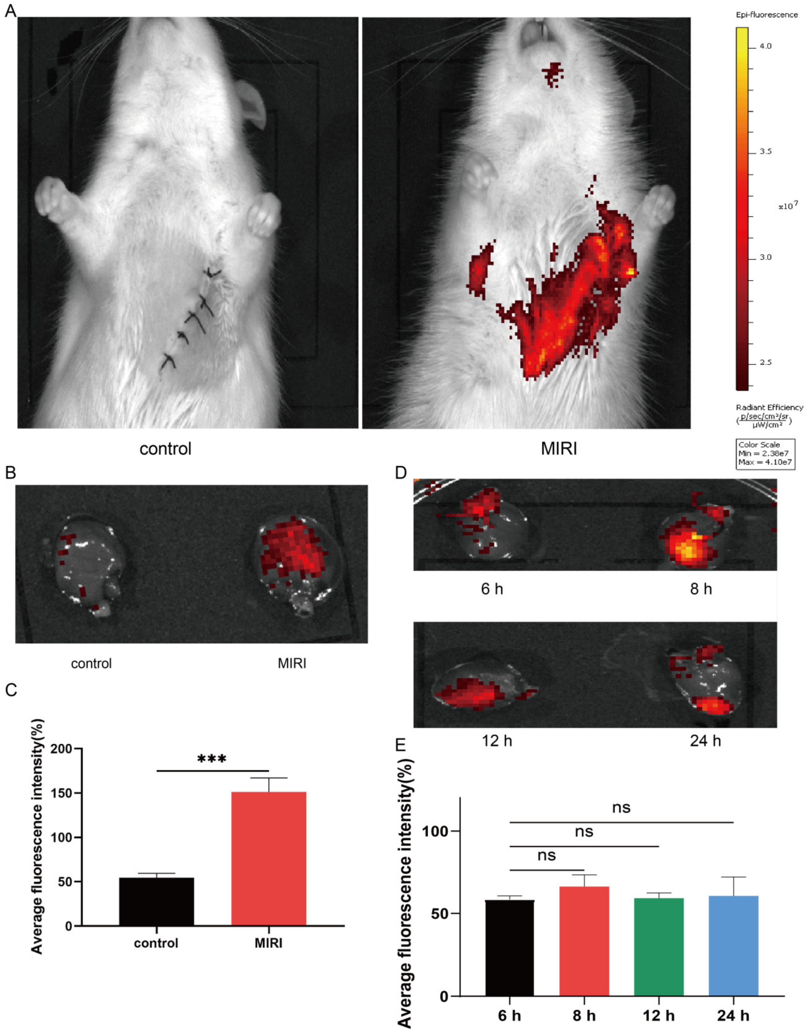 Membranes 12 00605 g003 Membranes 12 00605 g003