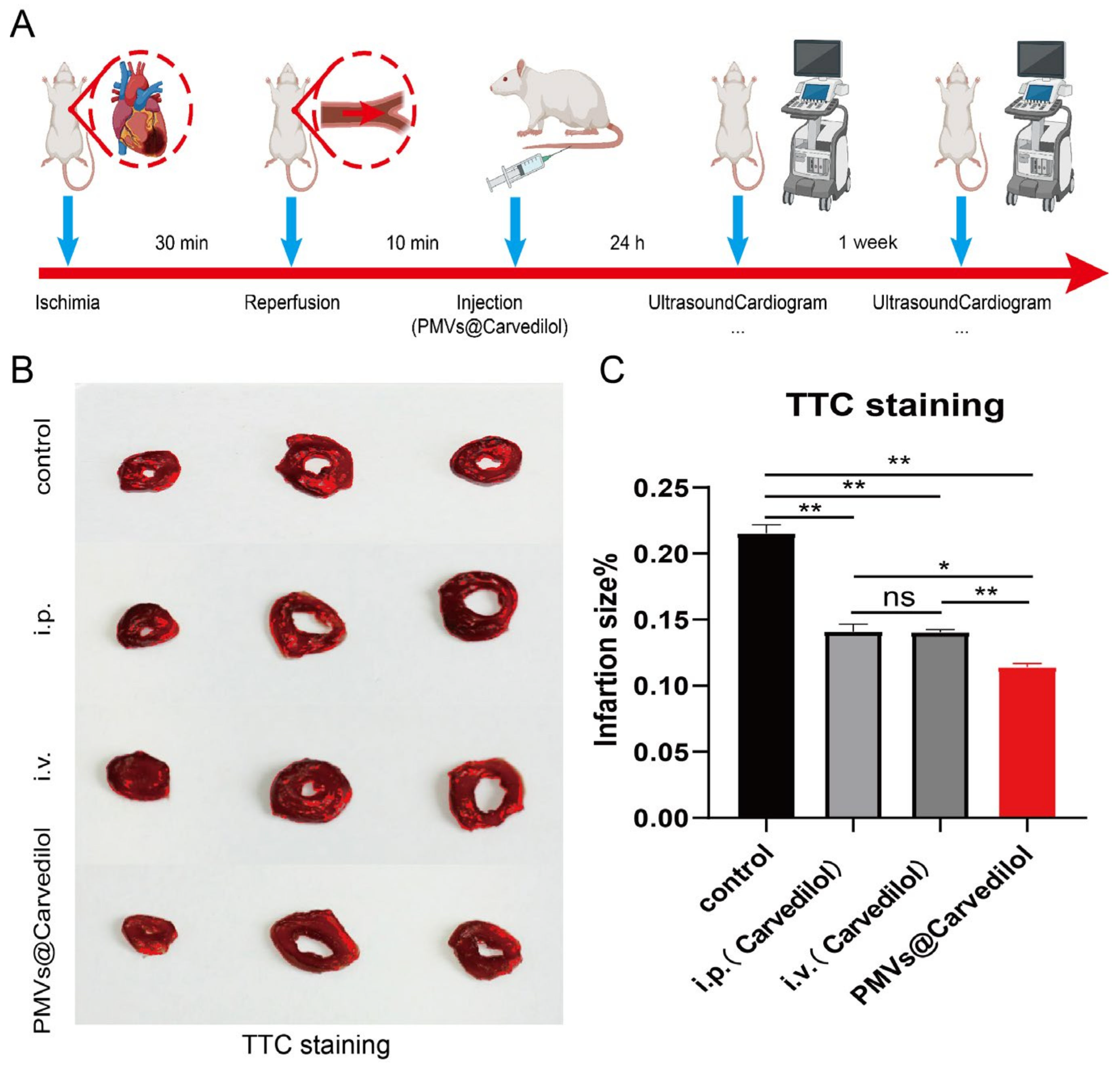Membranes 12 00605 g005 Membranes 12 00605 g005