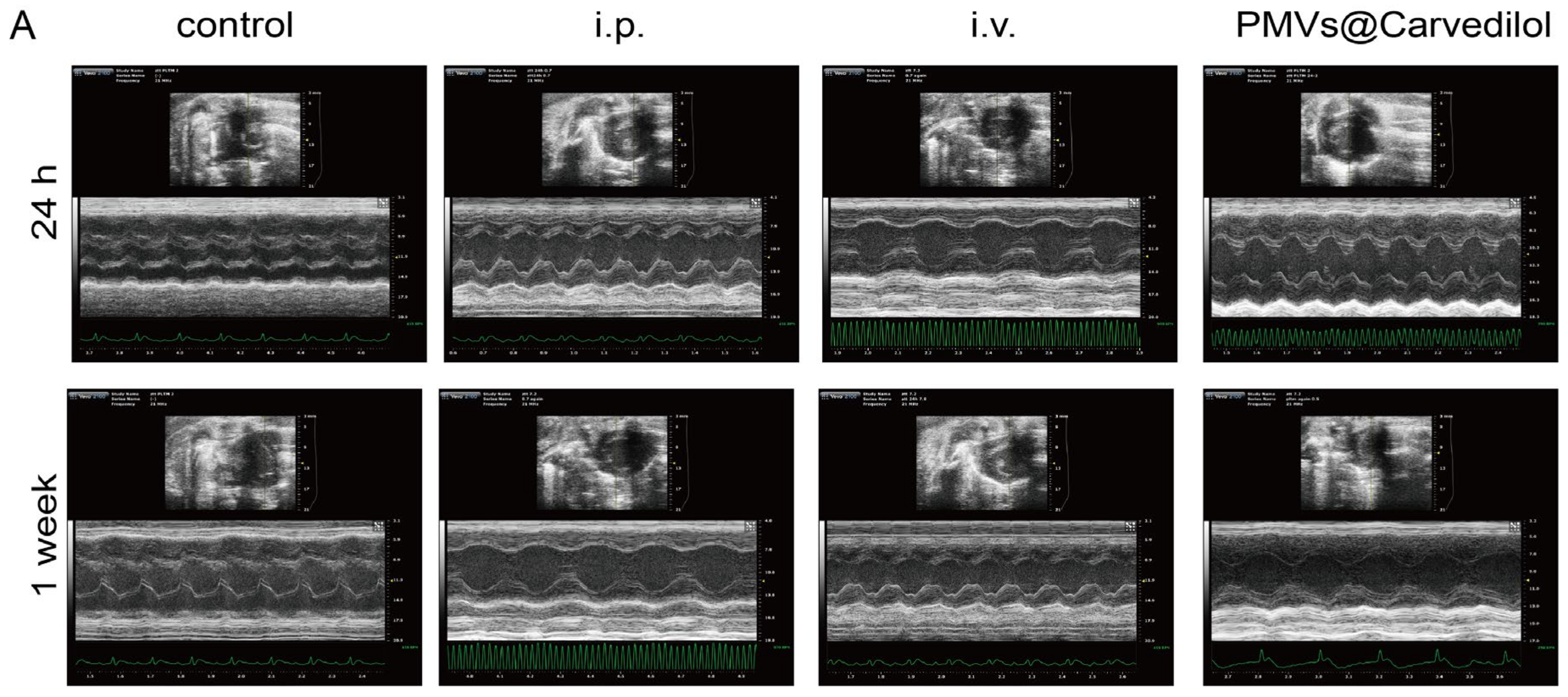 Membranes 12 00605 g006a Membranes 12 00605 g006a