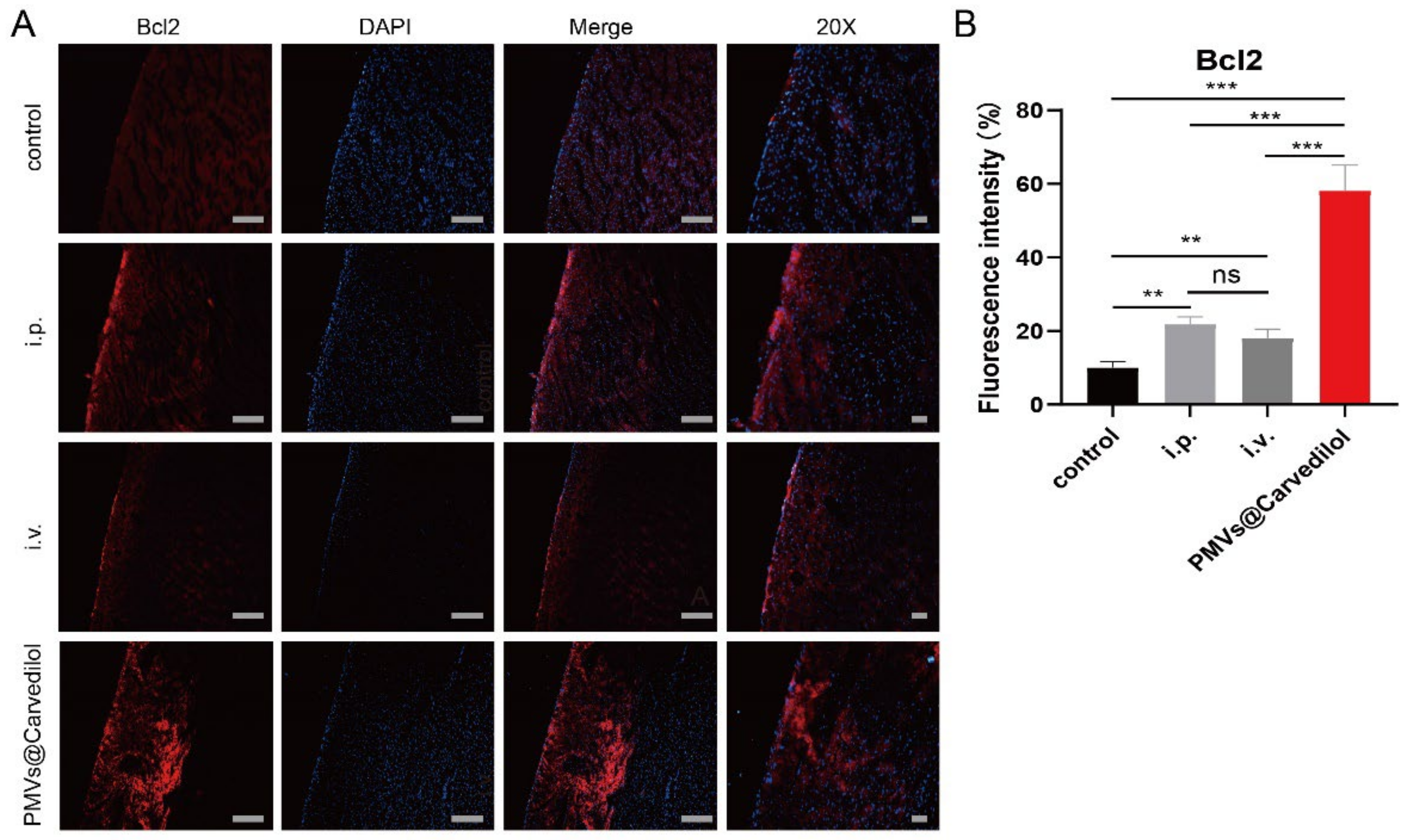 Membranes 12 00605 g007a Membranes 12 00605 g007a
