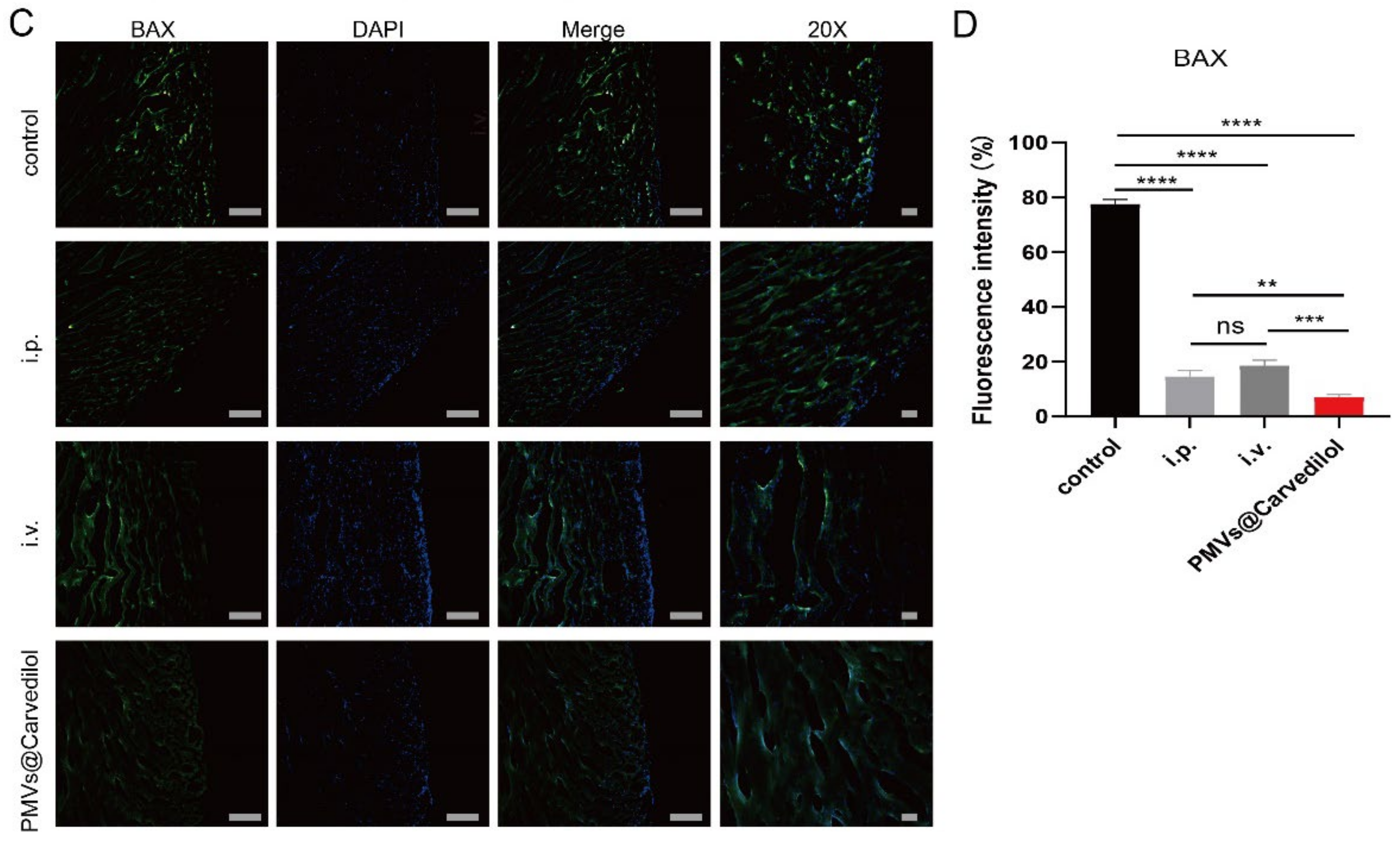 Membranes 12 00605 g007b Membranes 12 00605 g007b