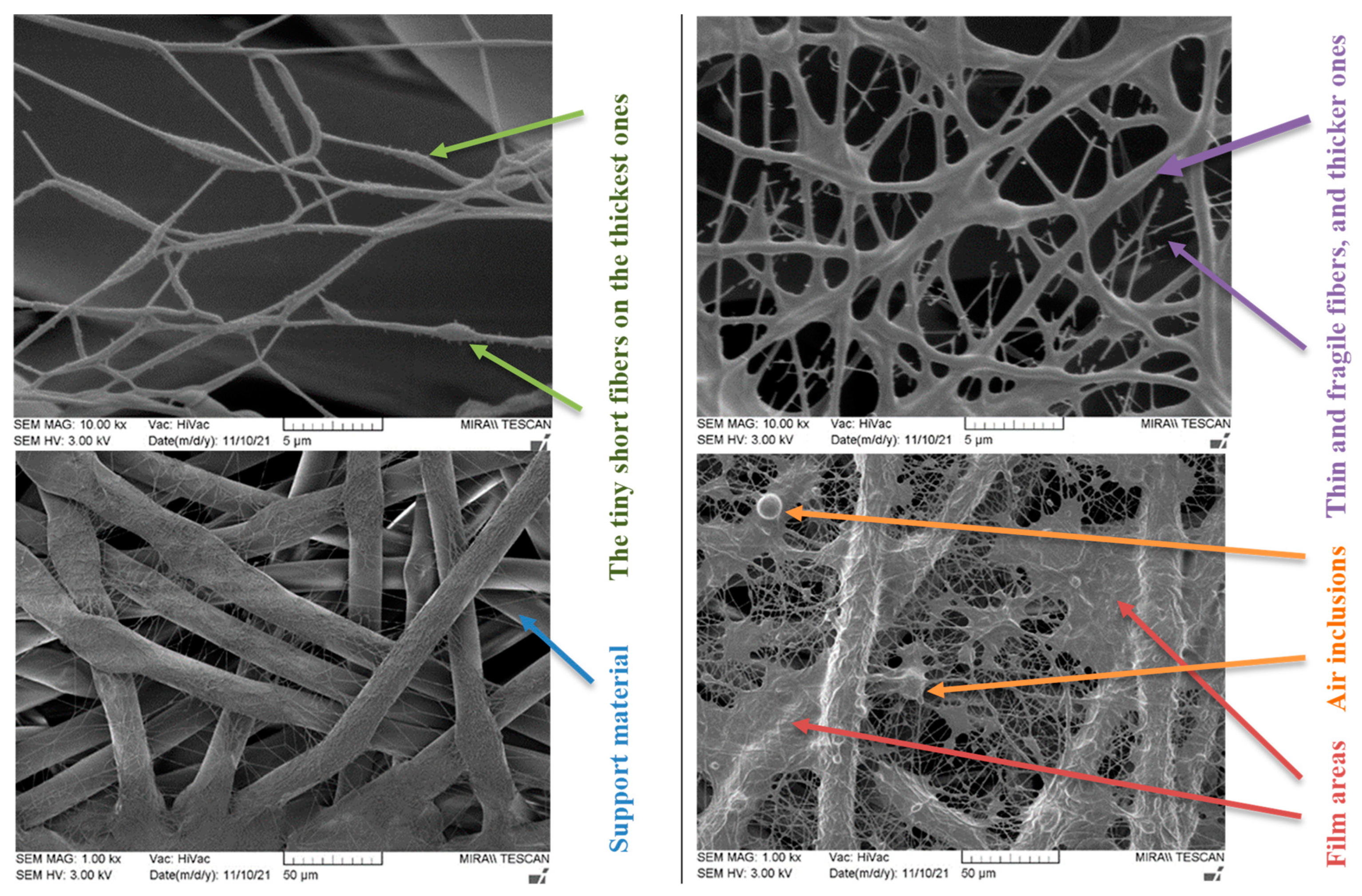 Membranes 12 00609 g006 550