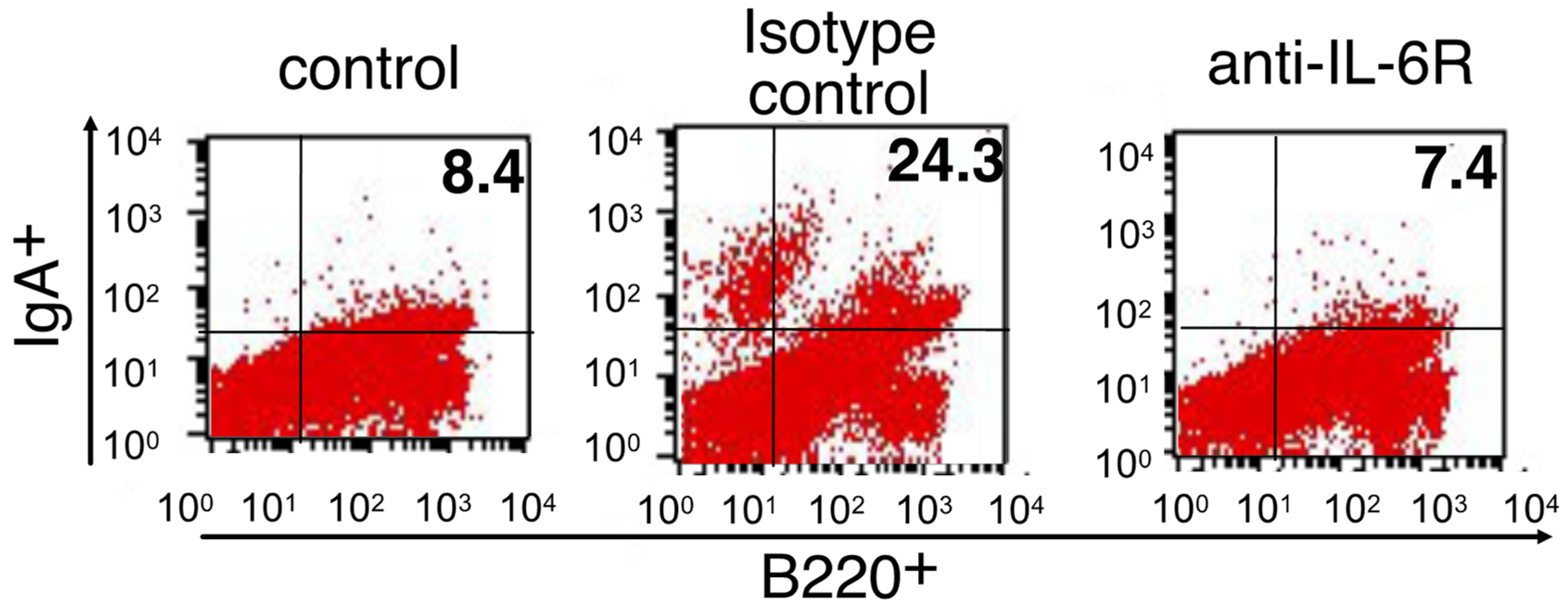 Membranes 12 00635 g004 Membranes 12 00635 g004