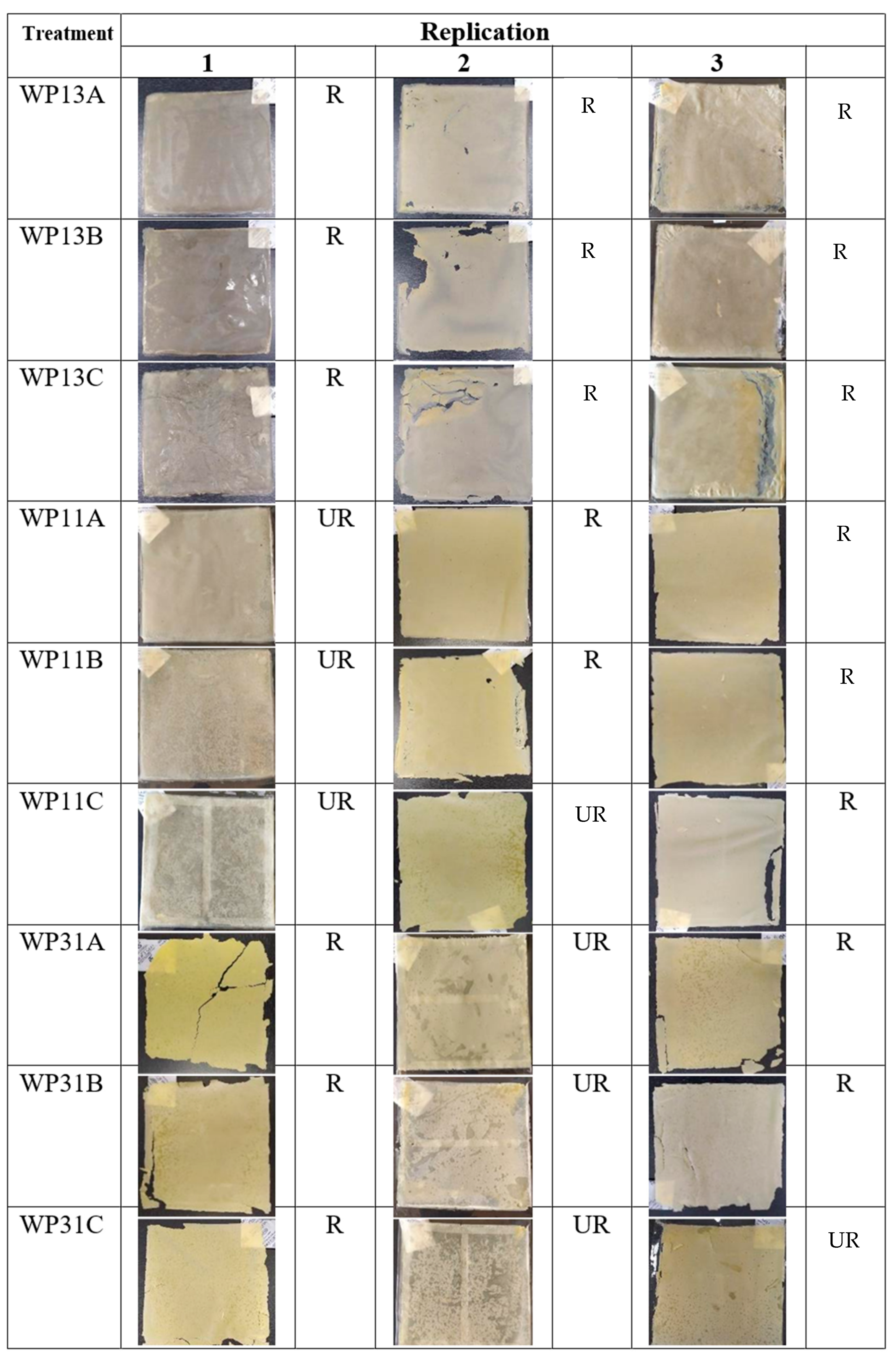 Membranes 12 00636 g001