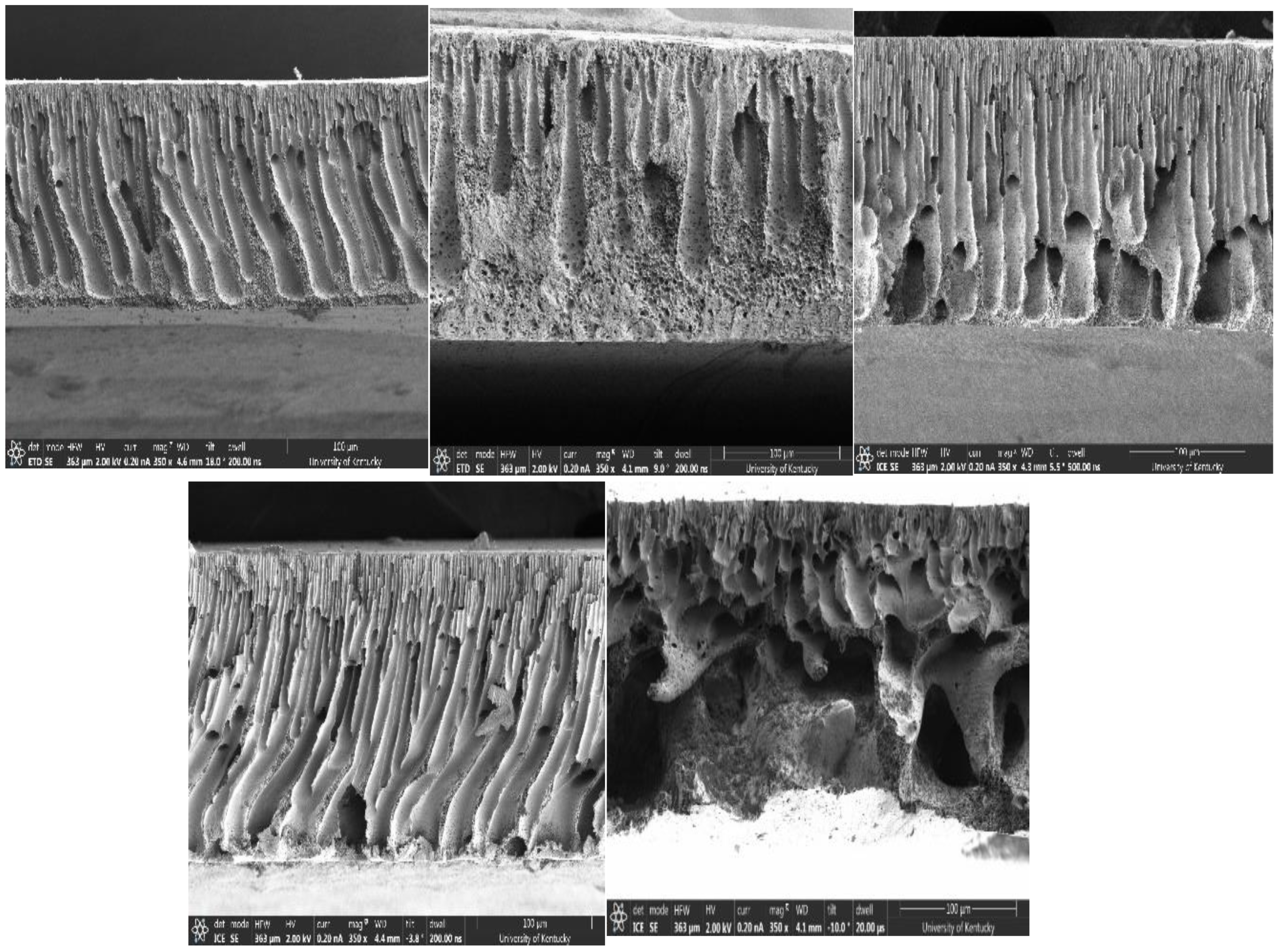 Membranes 12 00637 g006