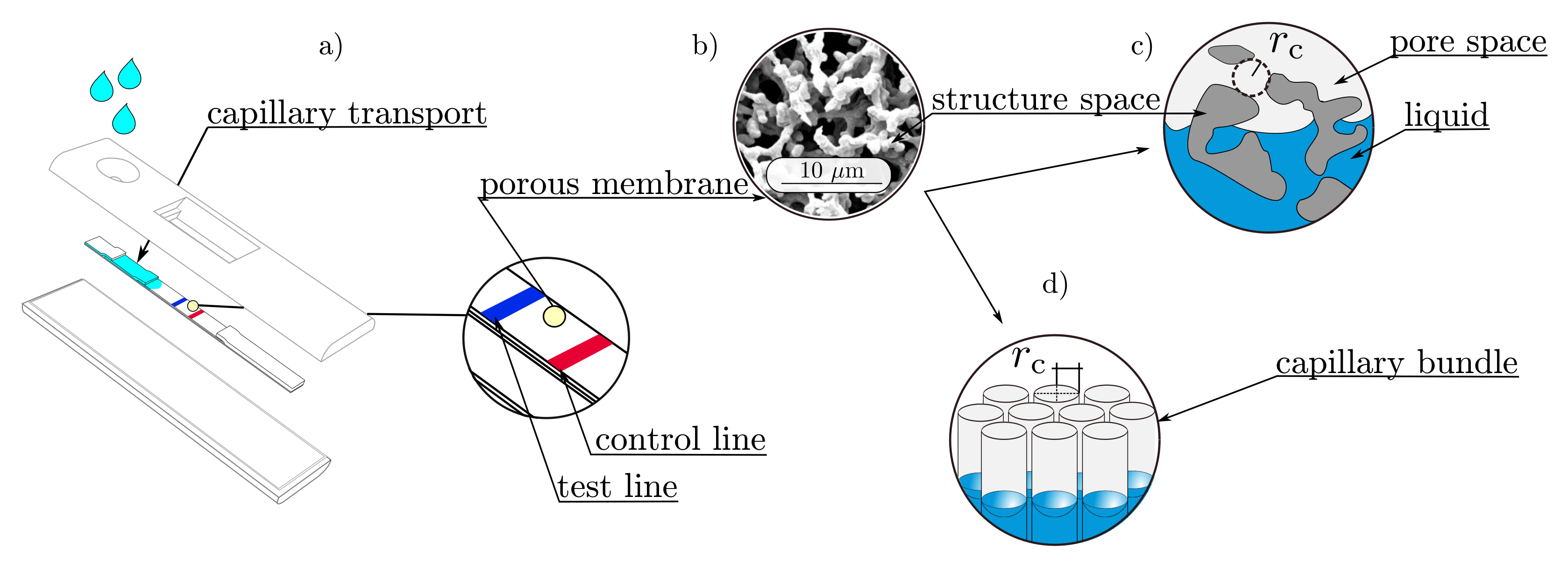 Membranes 12 00638 g001 550