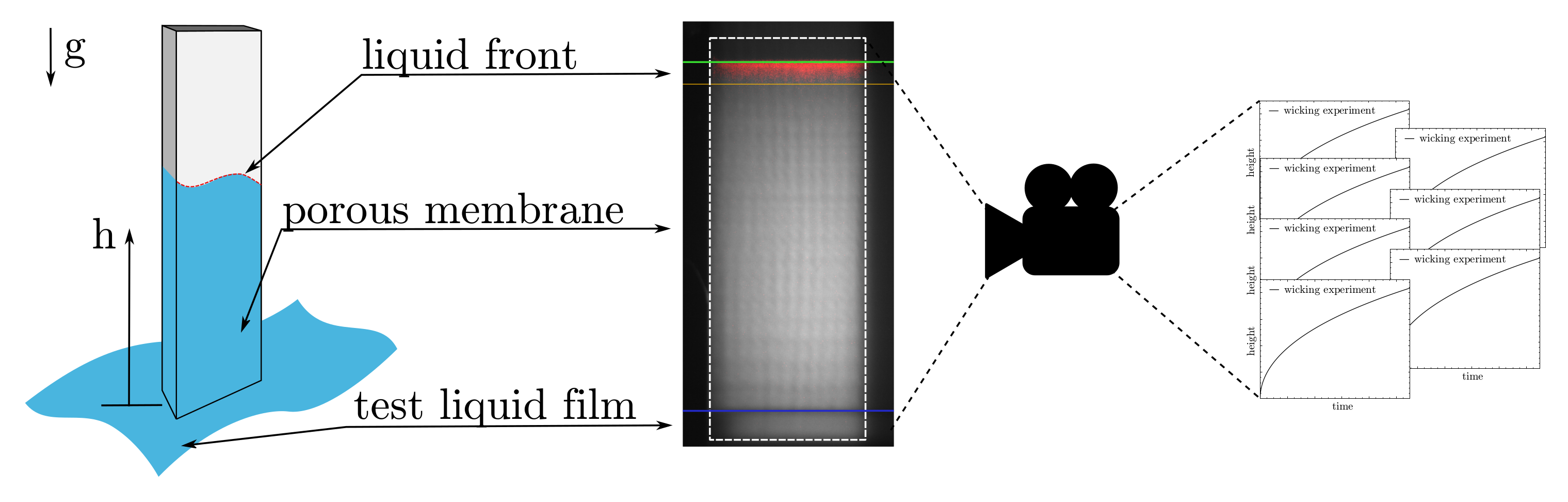 Membranes 12 00638 g004 550