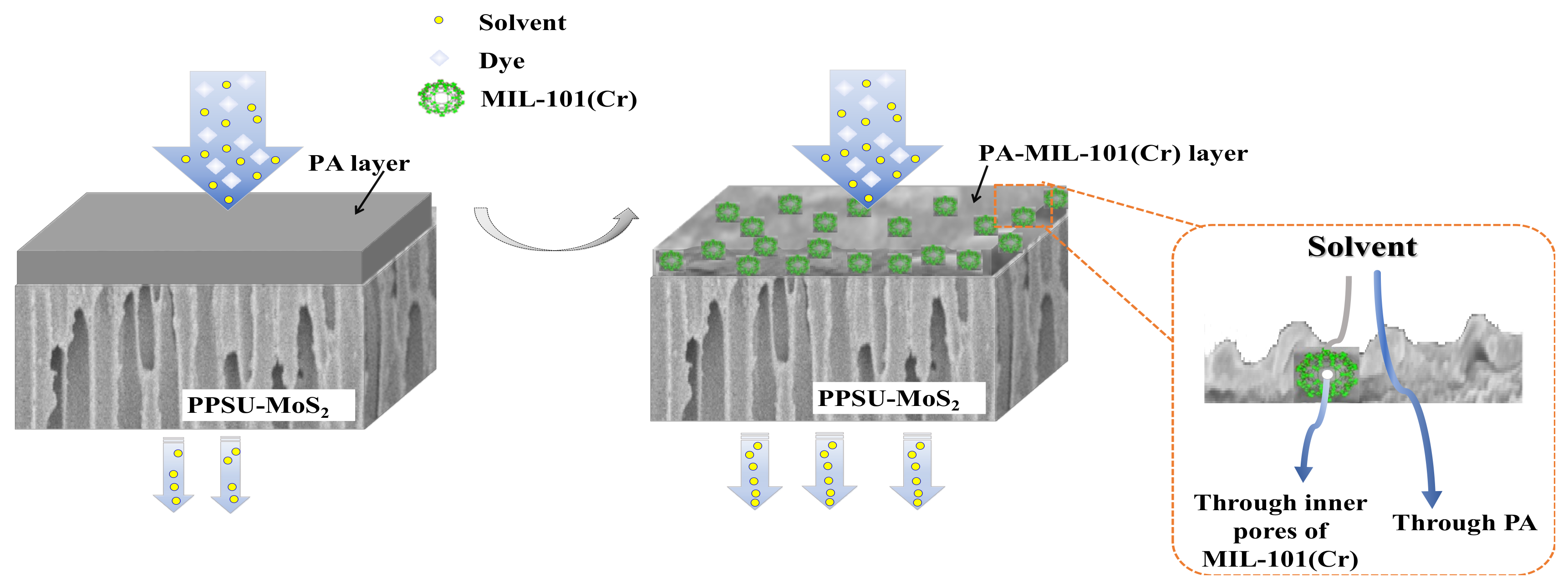 Membranes 12 00639 g001