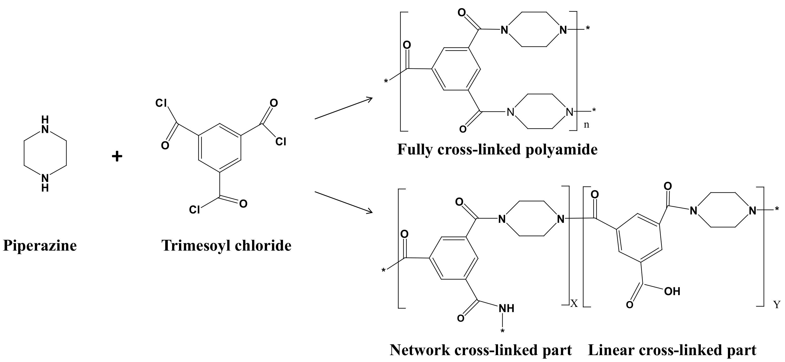 Membranes 12 00639 g002