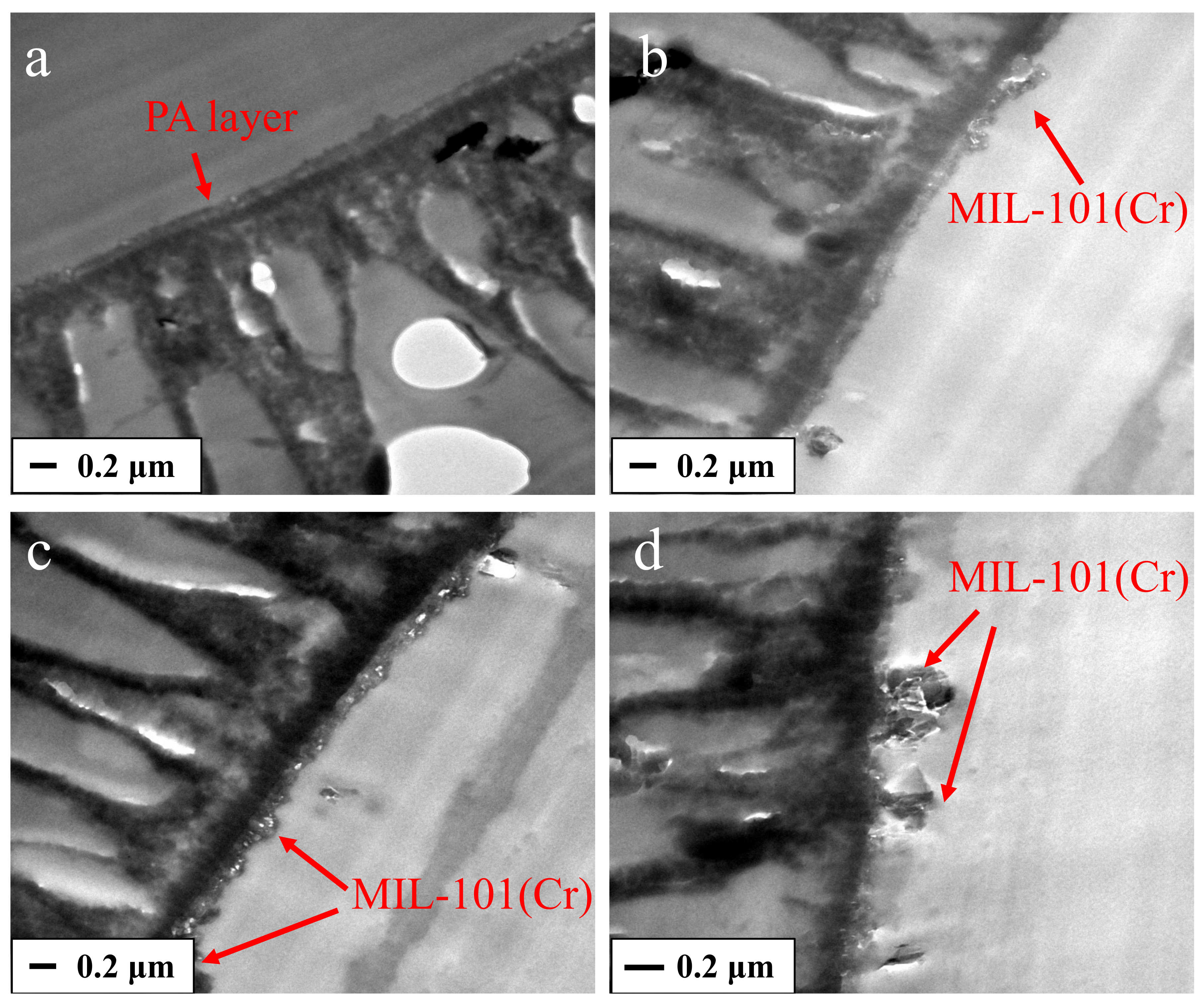 Membranes 12 00639 g007