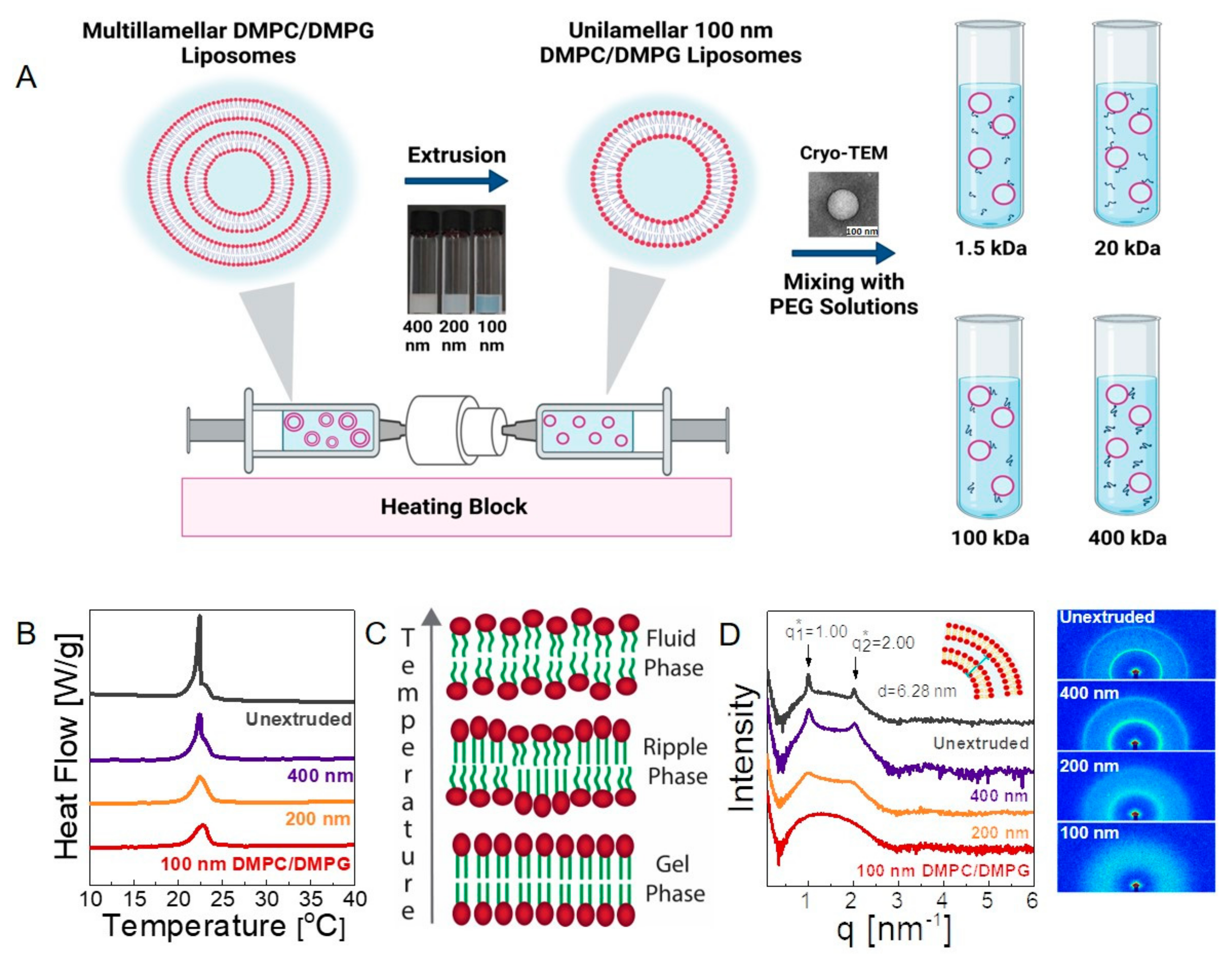 Membranes 12 00640 g001