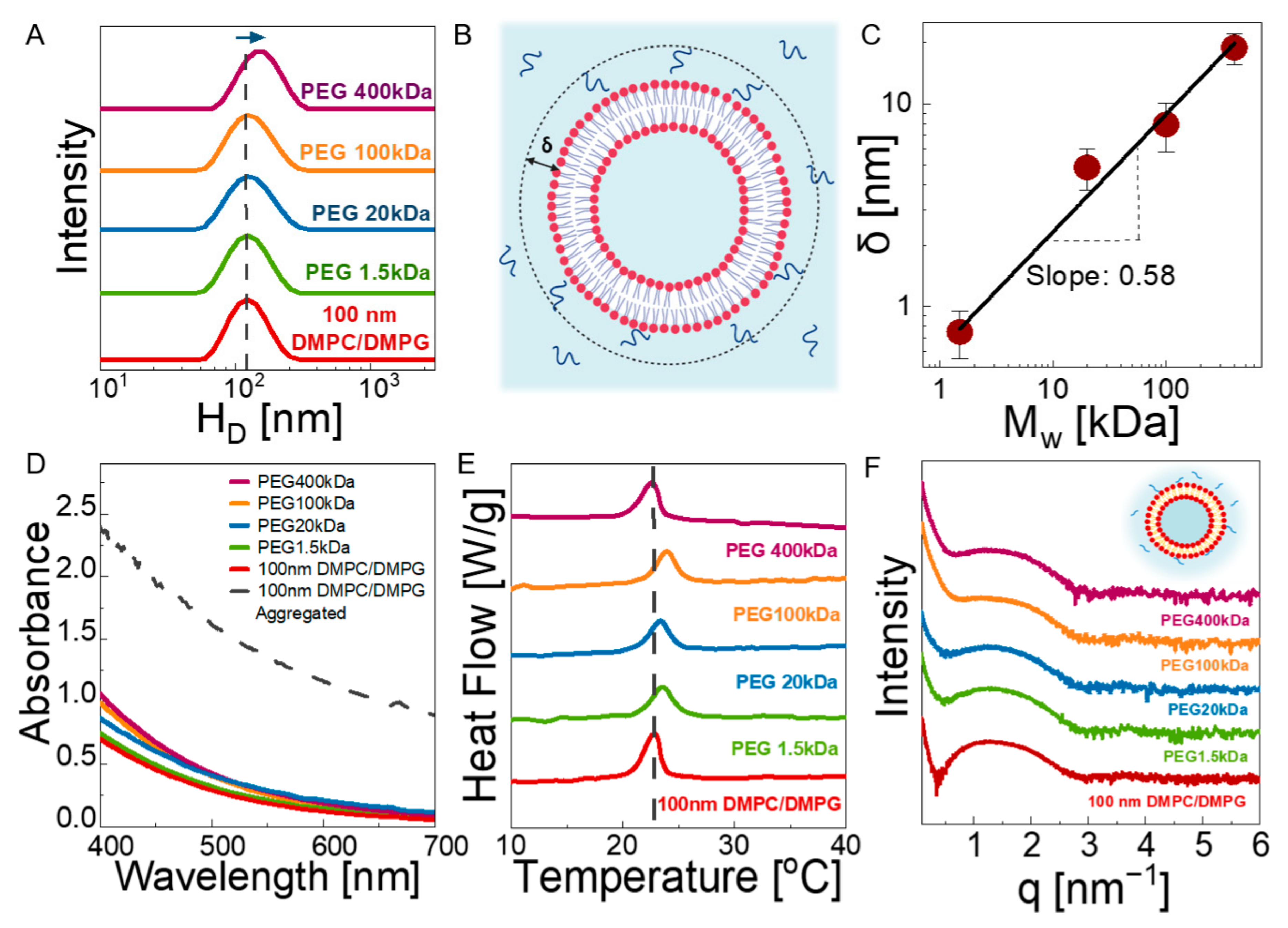 Membranes 12 00640 g002