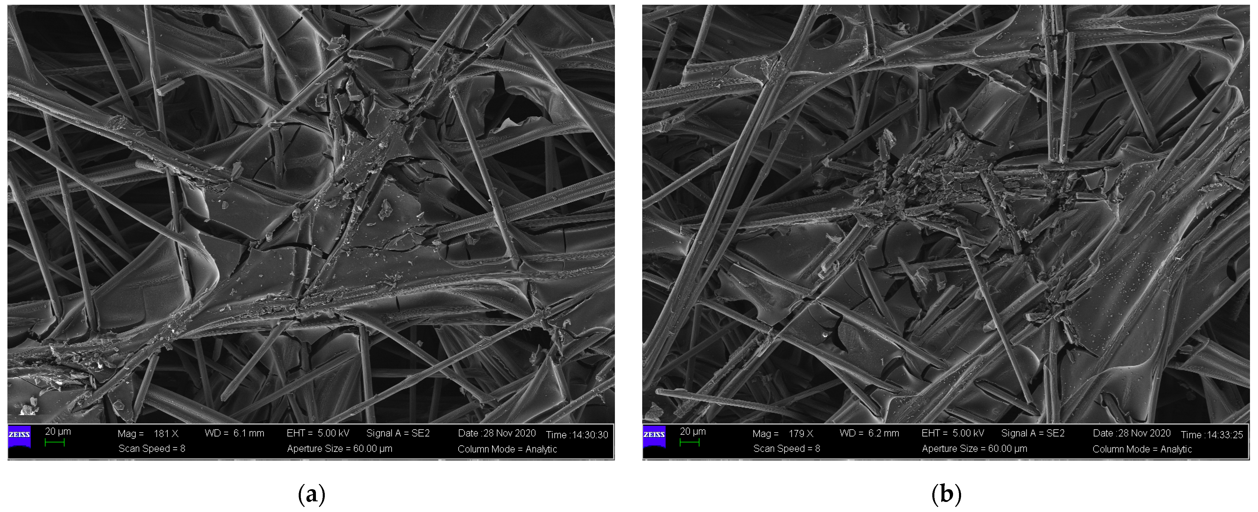 Membranes 12 00645 g007