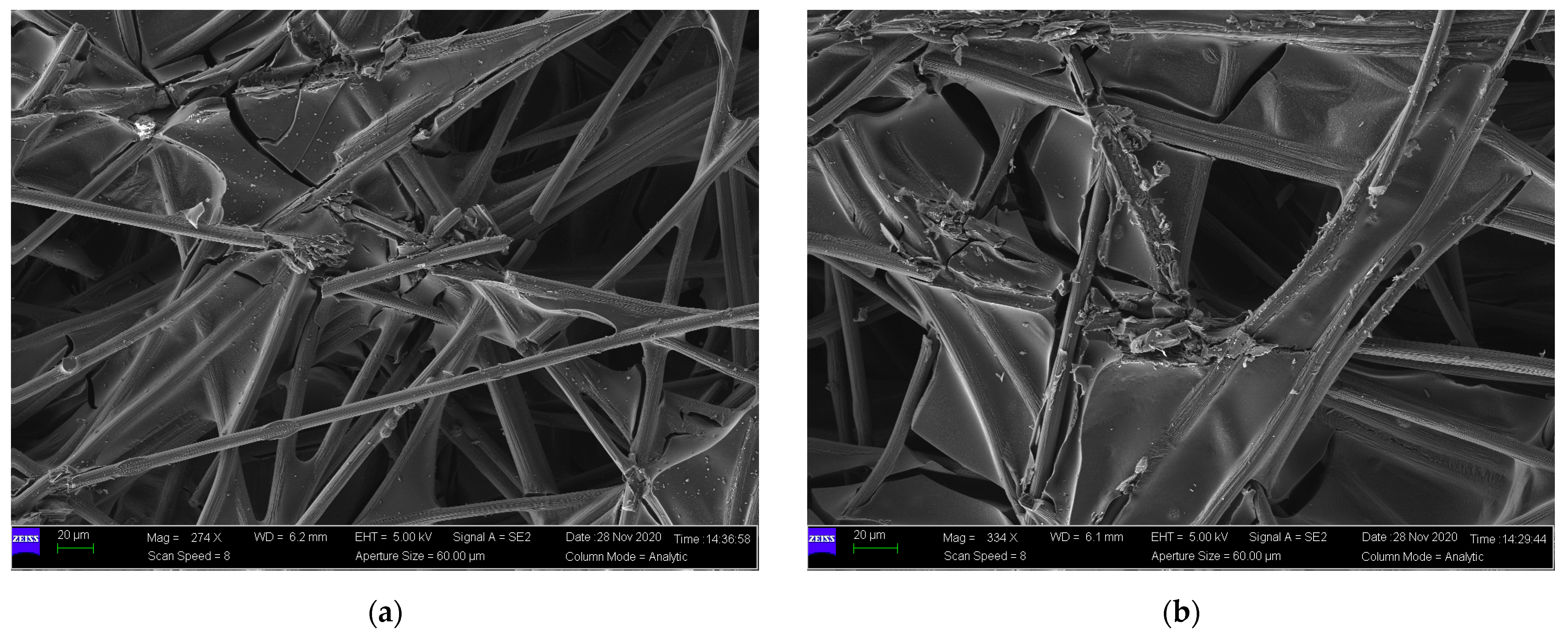 Membranes 12 00645 g010