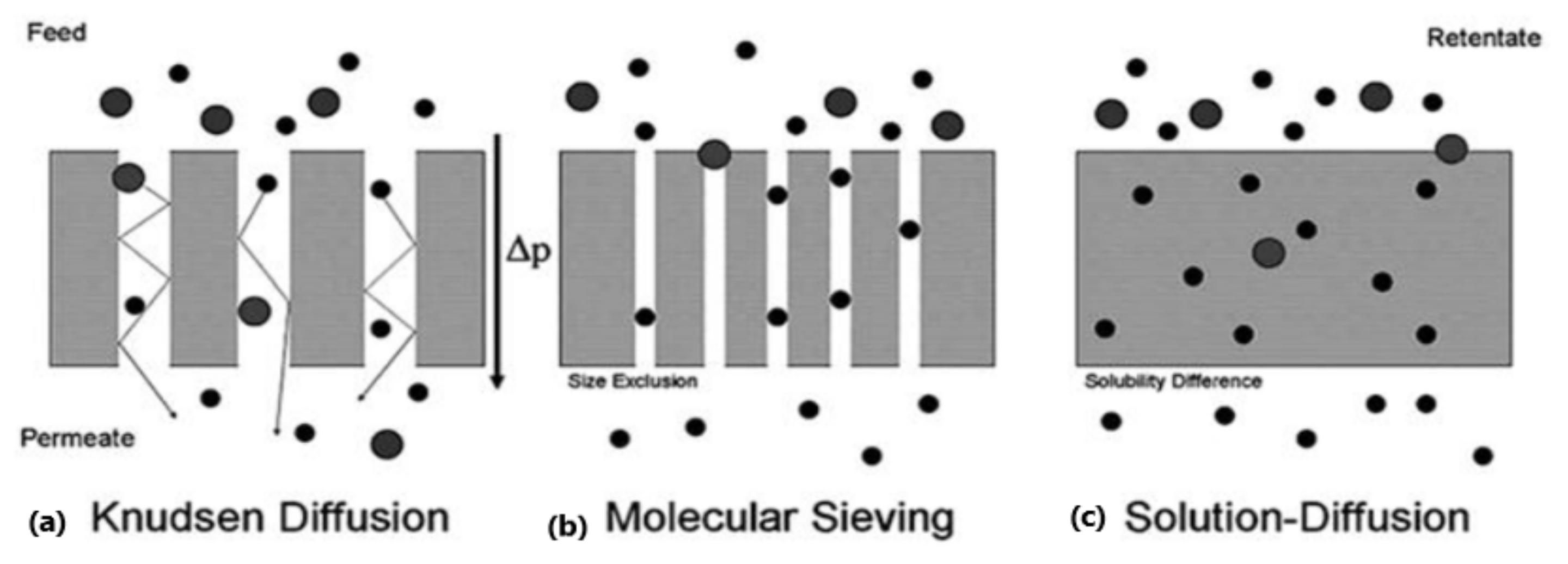 Membranes 12 00646 g010
