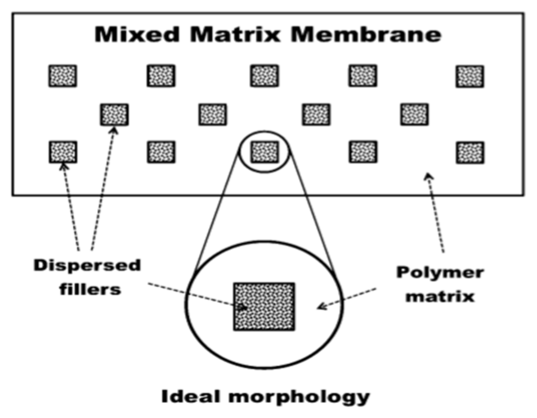 Membranes 12 00646 g012
