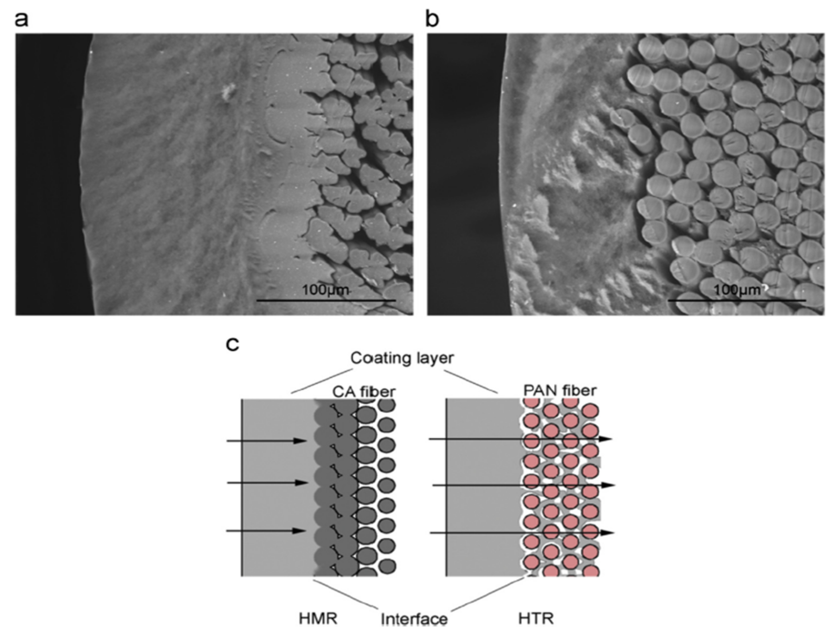 Membranes 12 00646 g016