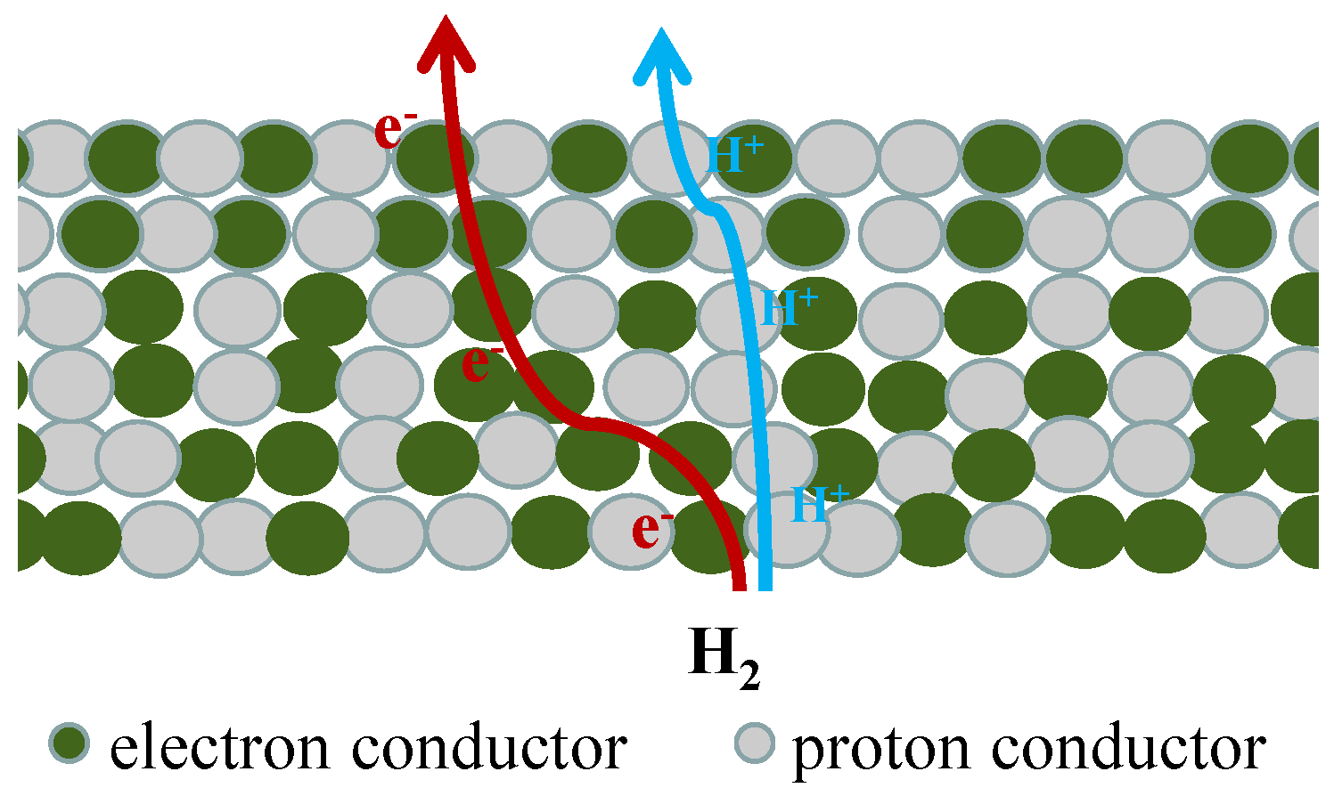Membranes 12 00647 g002