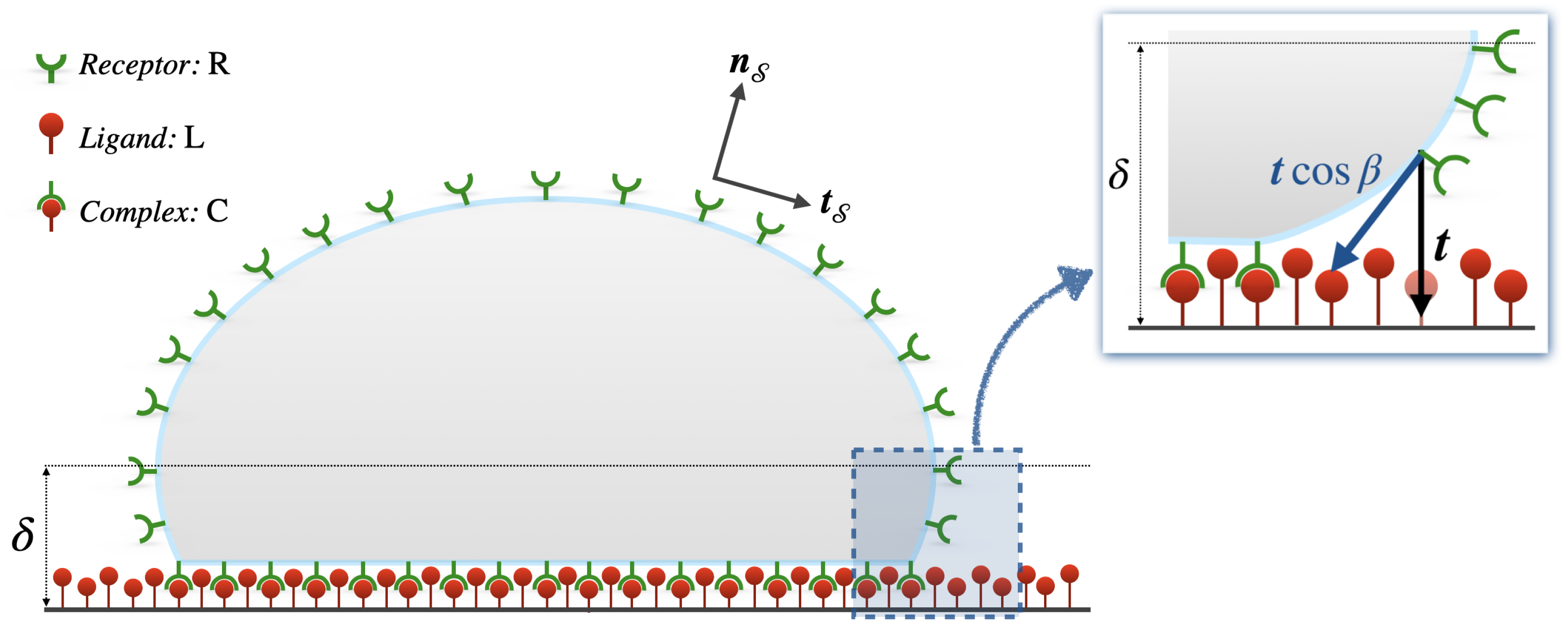 Membranes 12 00652 g001