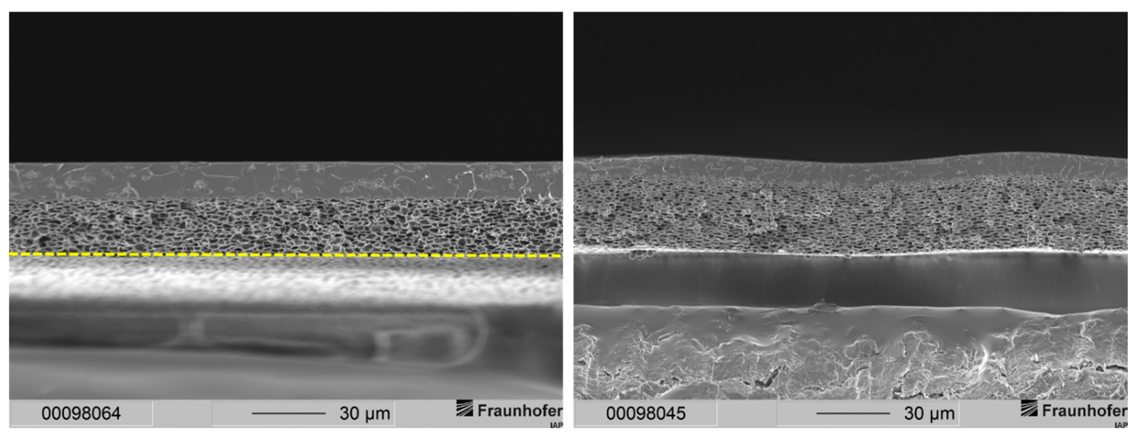 Membranes 12 00654 g002 Membranes 12 00654 g002