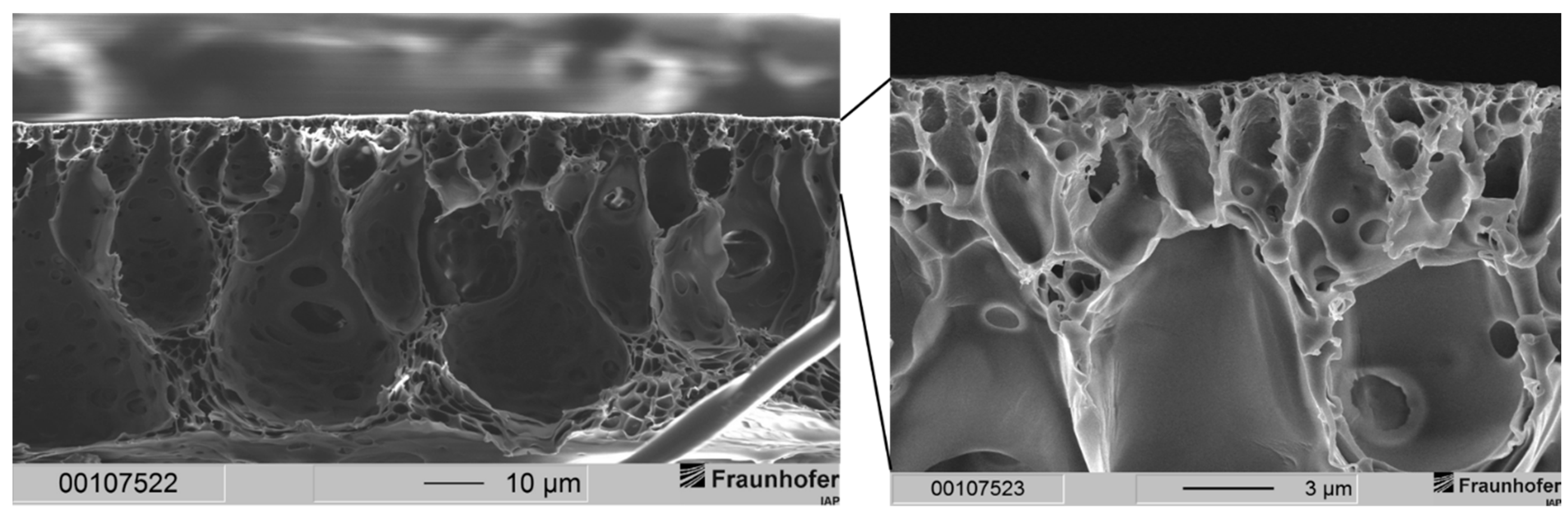 Membranes 12 00654 g006 Membranes 12 00654 g006