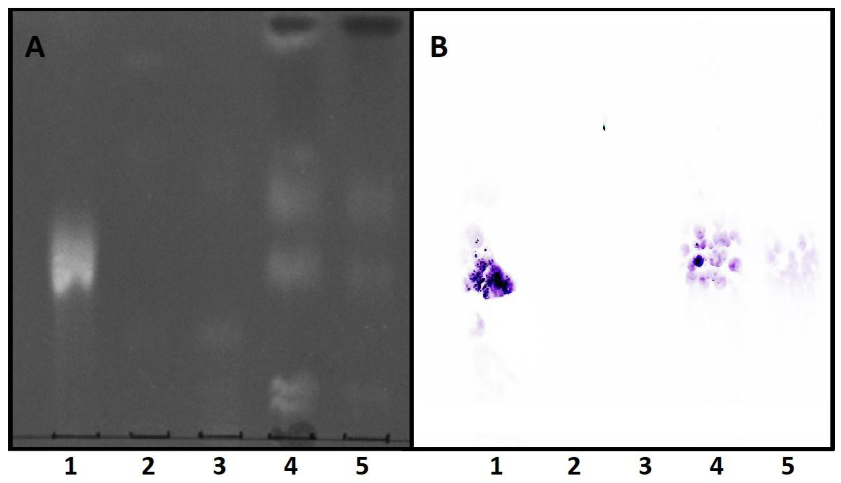 Membranes 12 00655 g004
