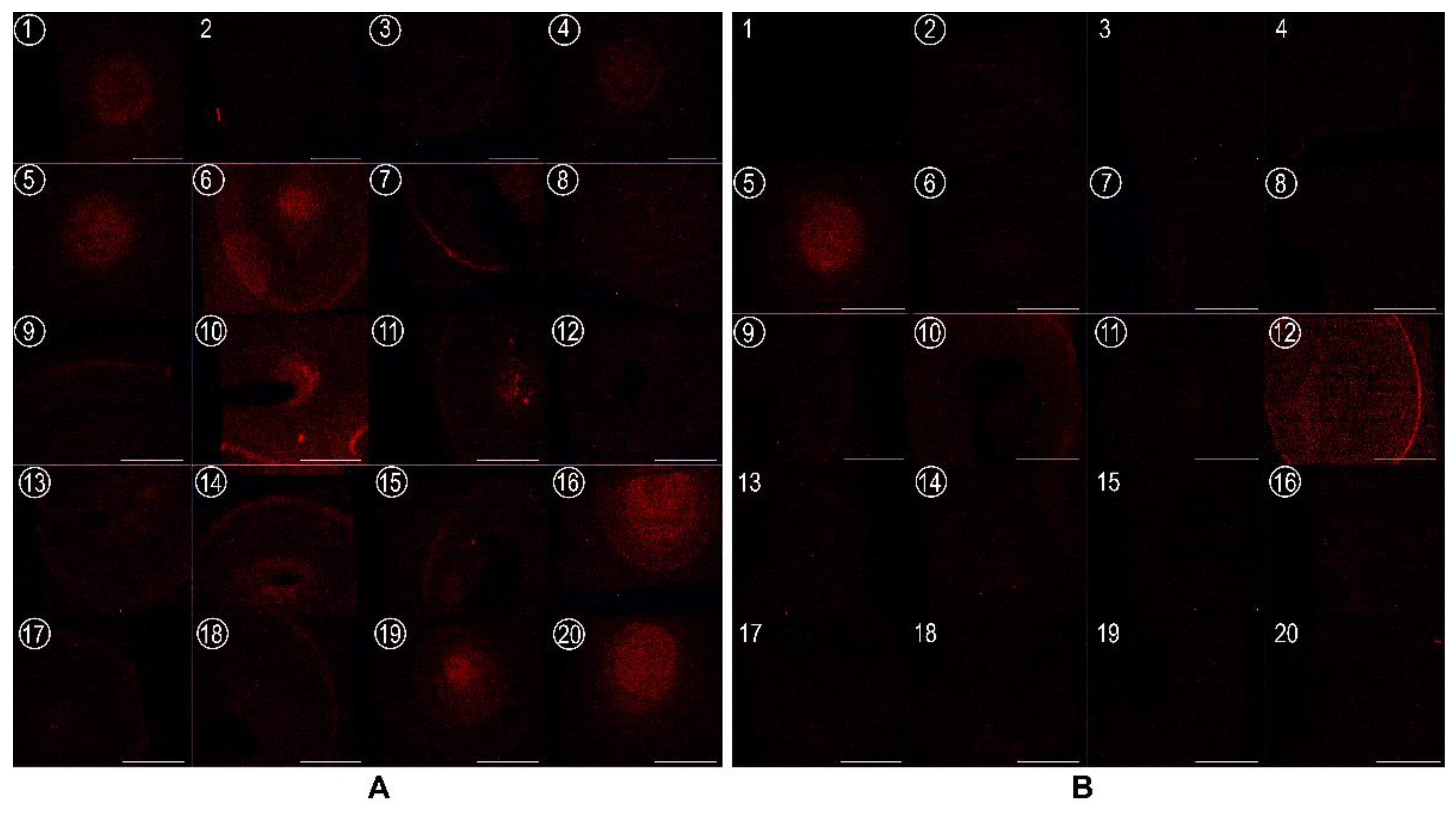 Membranes 12 00655 g007