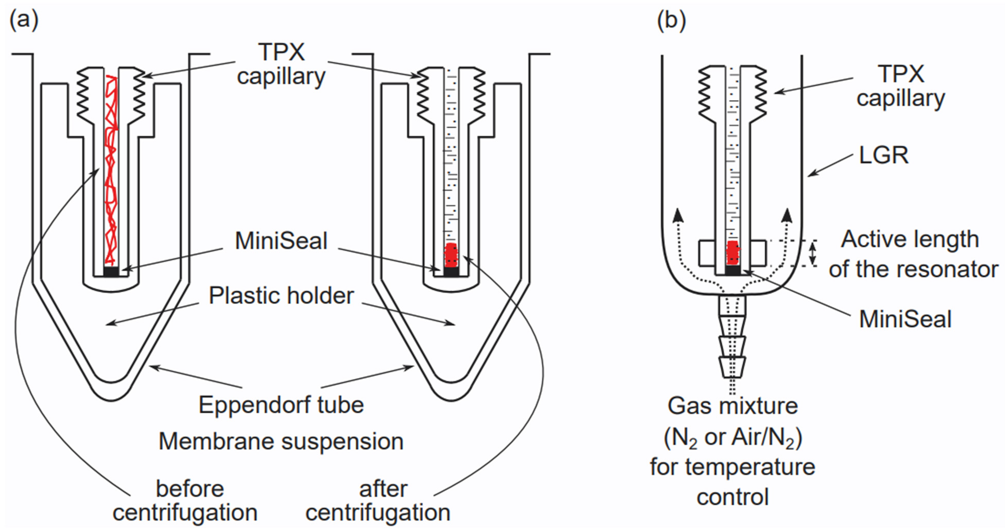 Membranes 12 00657 g003 Membranes 12 00657 g003