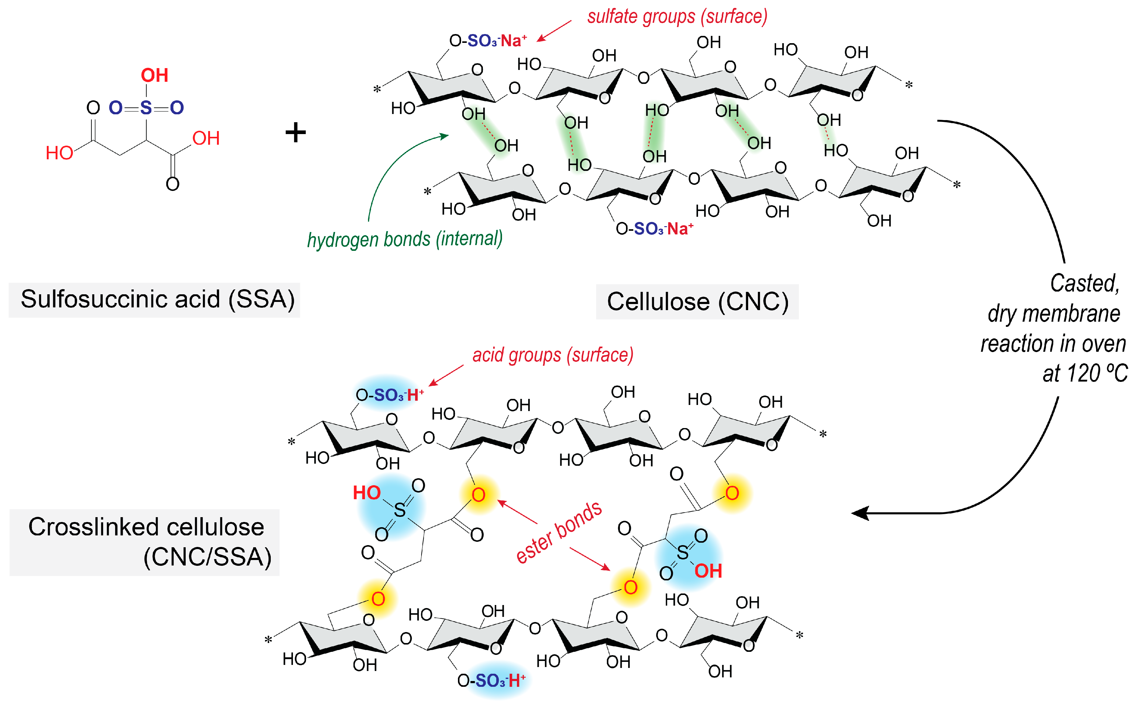 Membranes 12 00658 g001