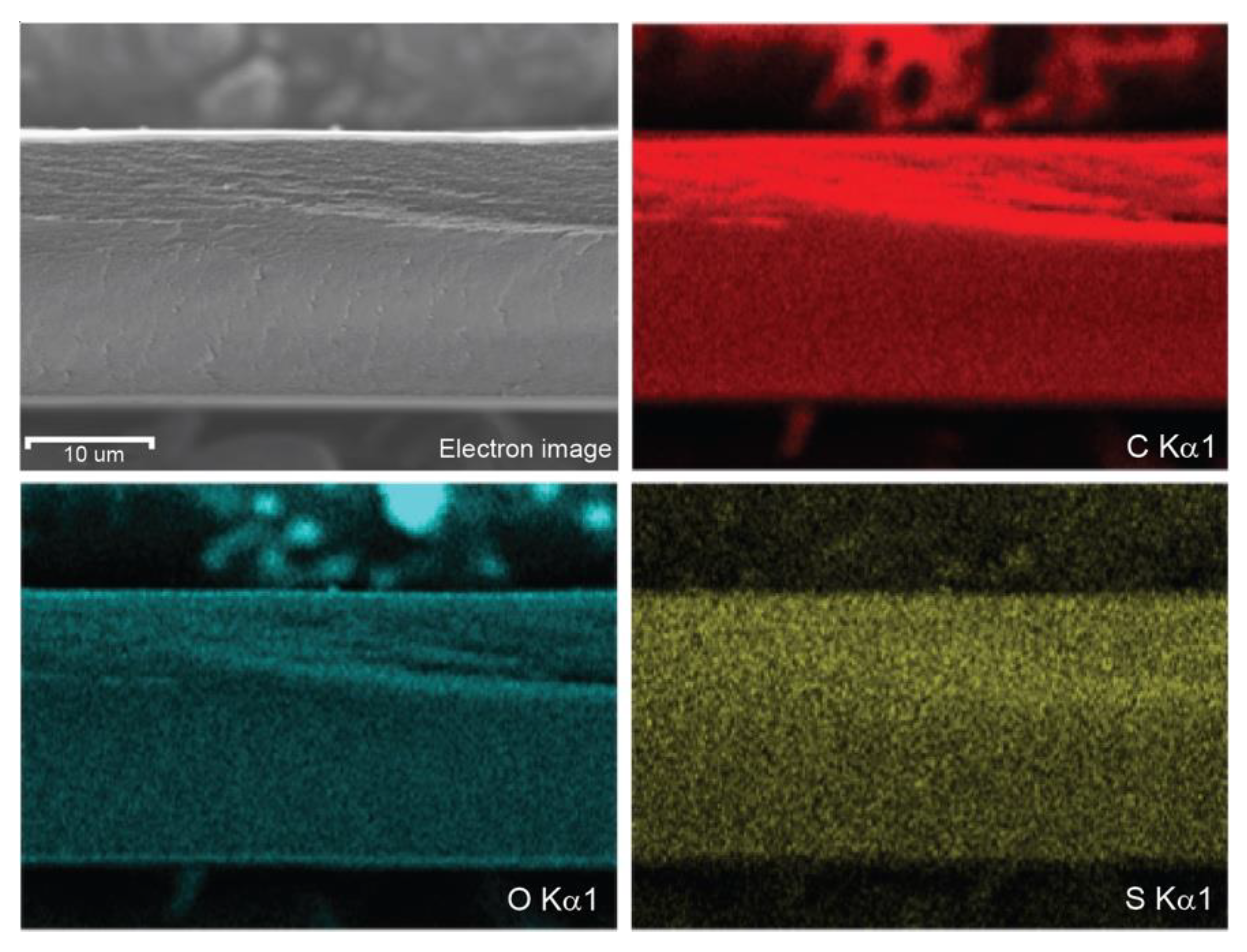 Membranes 12 00658 g003